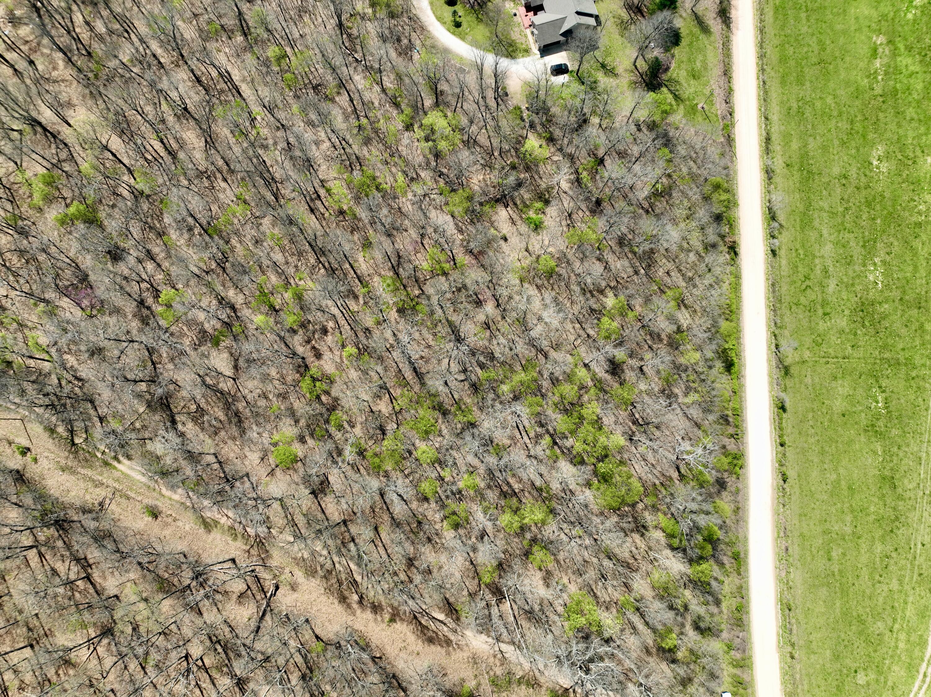 000 Orchid Drive Property Photo 4