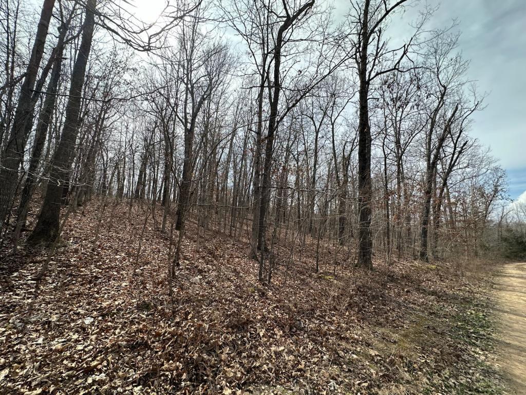 Tbd Private Road 9951 Property Photo 3