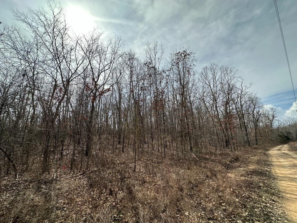 Tbd Private Road 9951 Property Photo 5