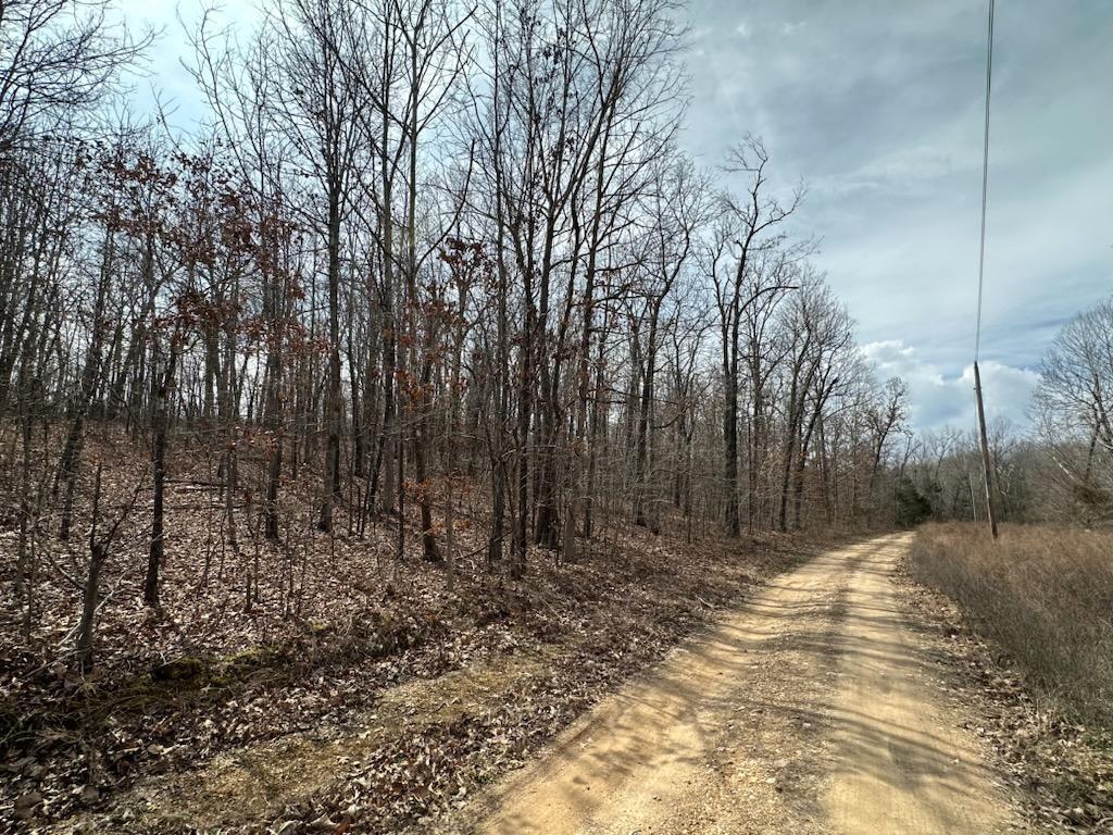 Tbd Private Road 9951 Property Photo 6