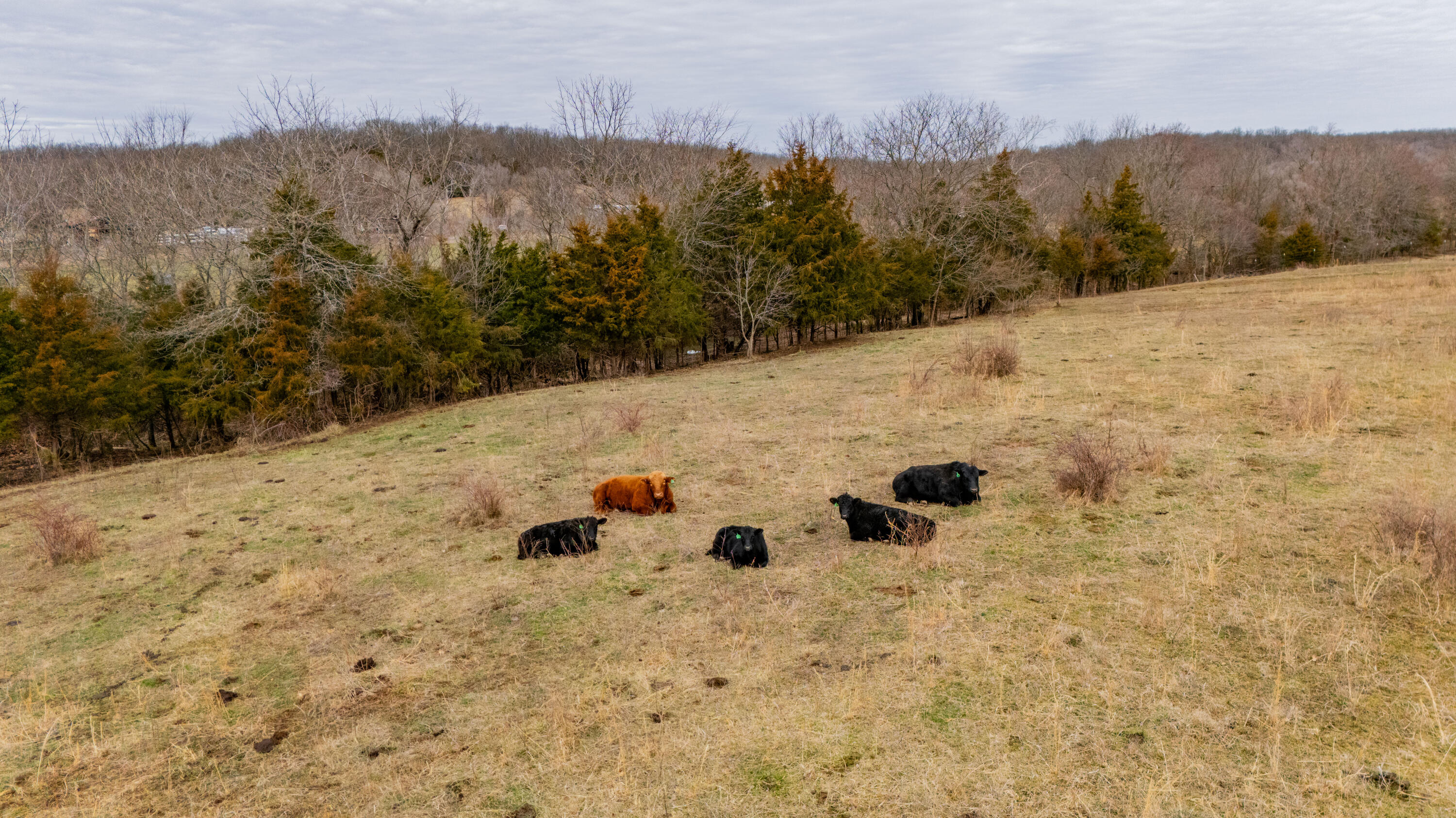 003 Highway H Property Photo 18