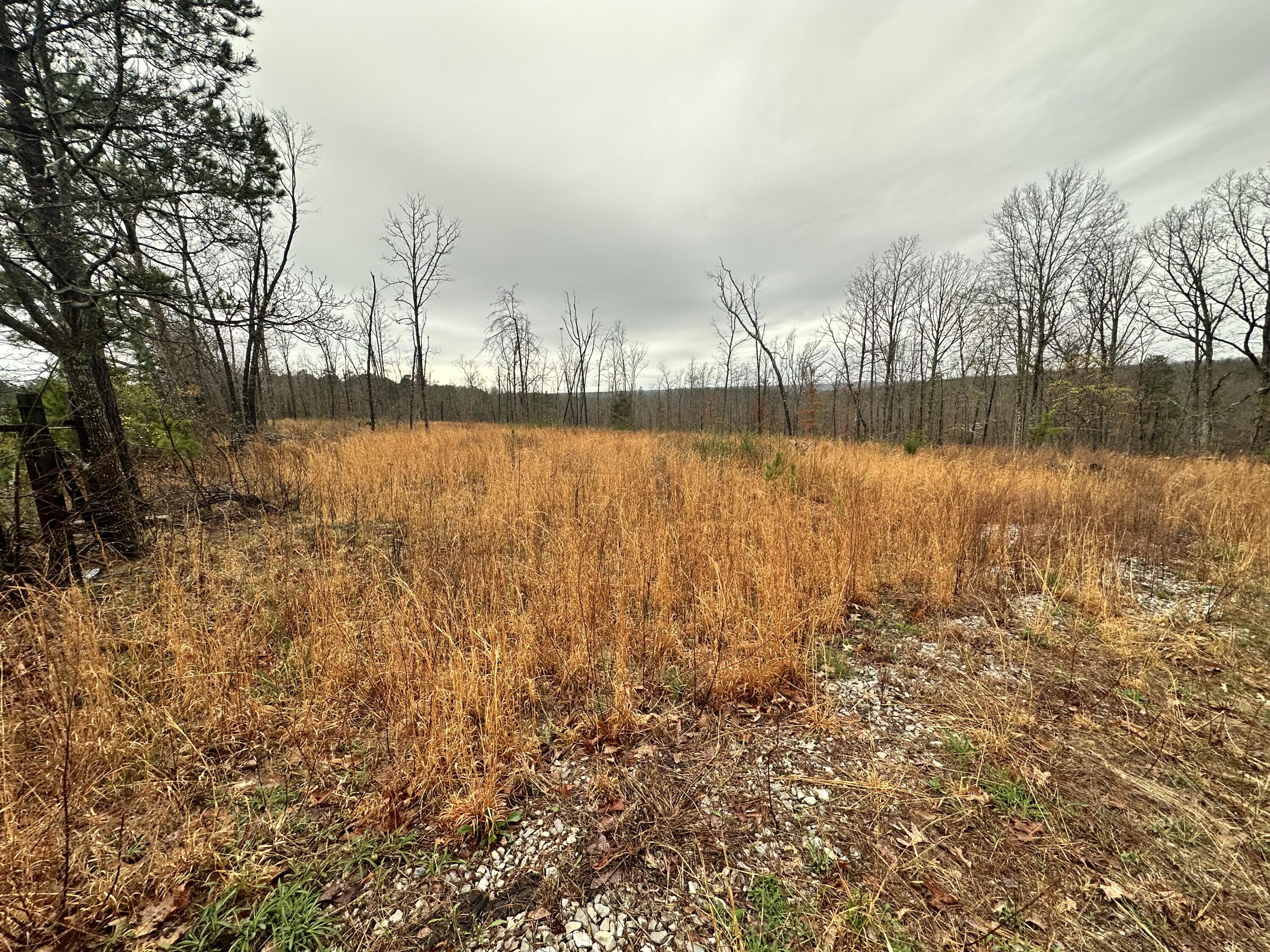 000 Us Highway 63 Property Photo 2