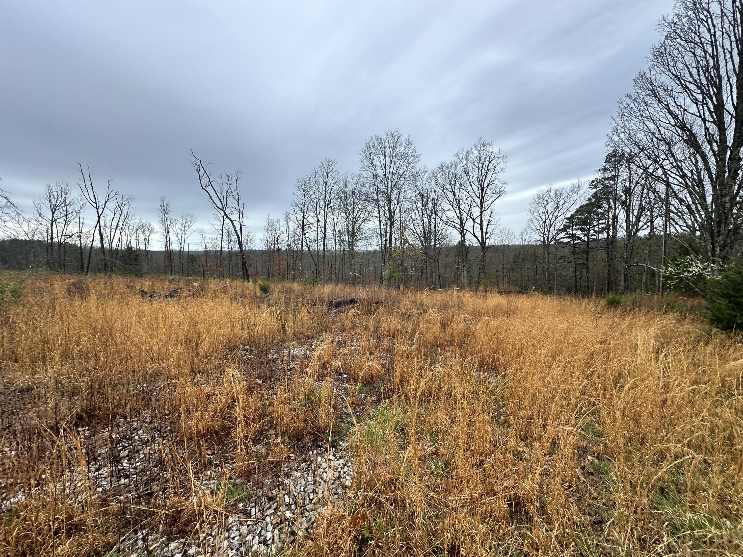 000 Us Highway 63 Property Photo 3