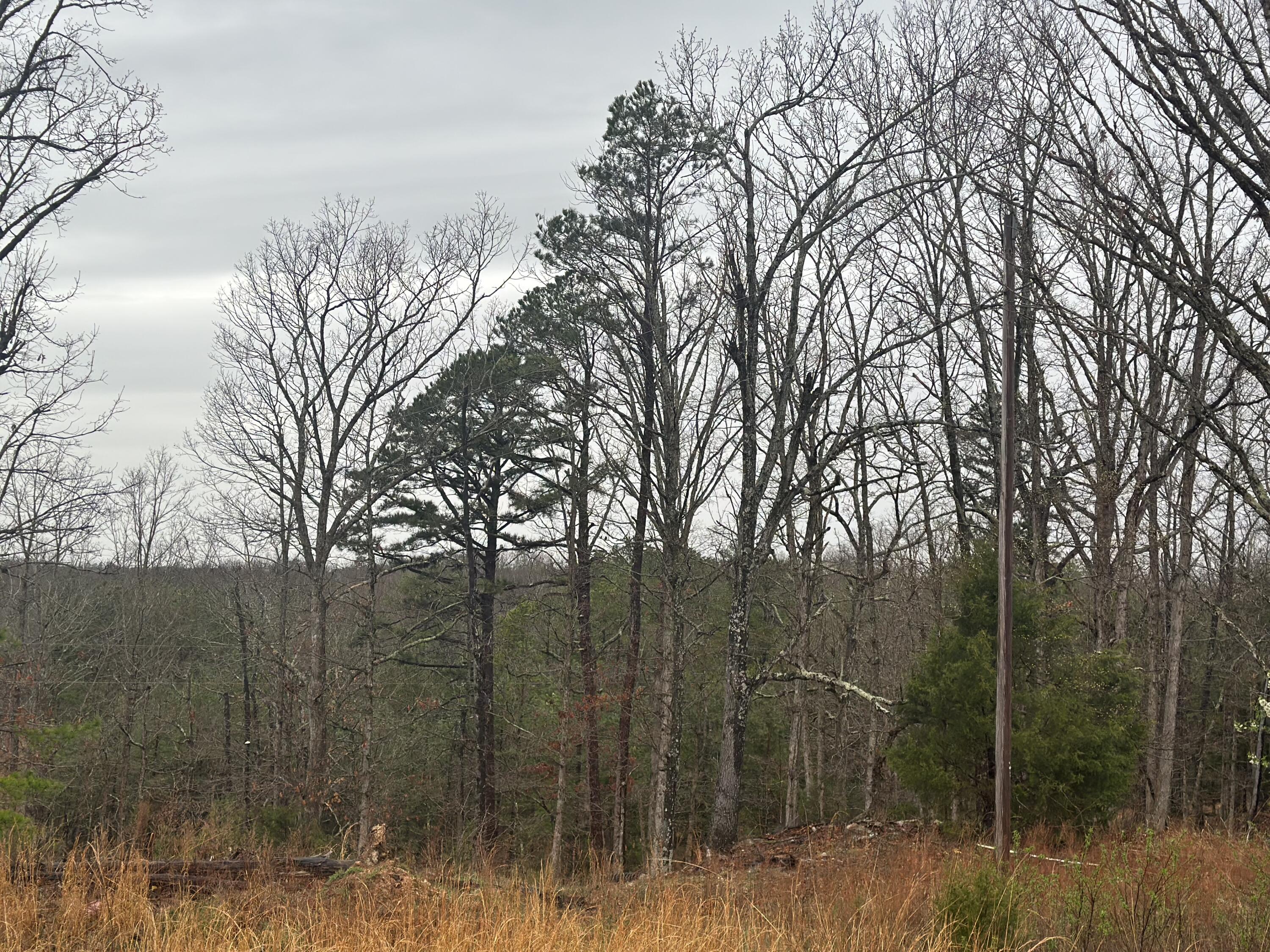 000 Us Highway 63 Property Photo 4