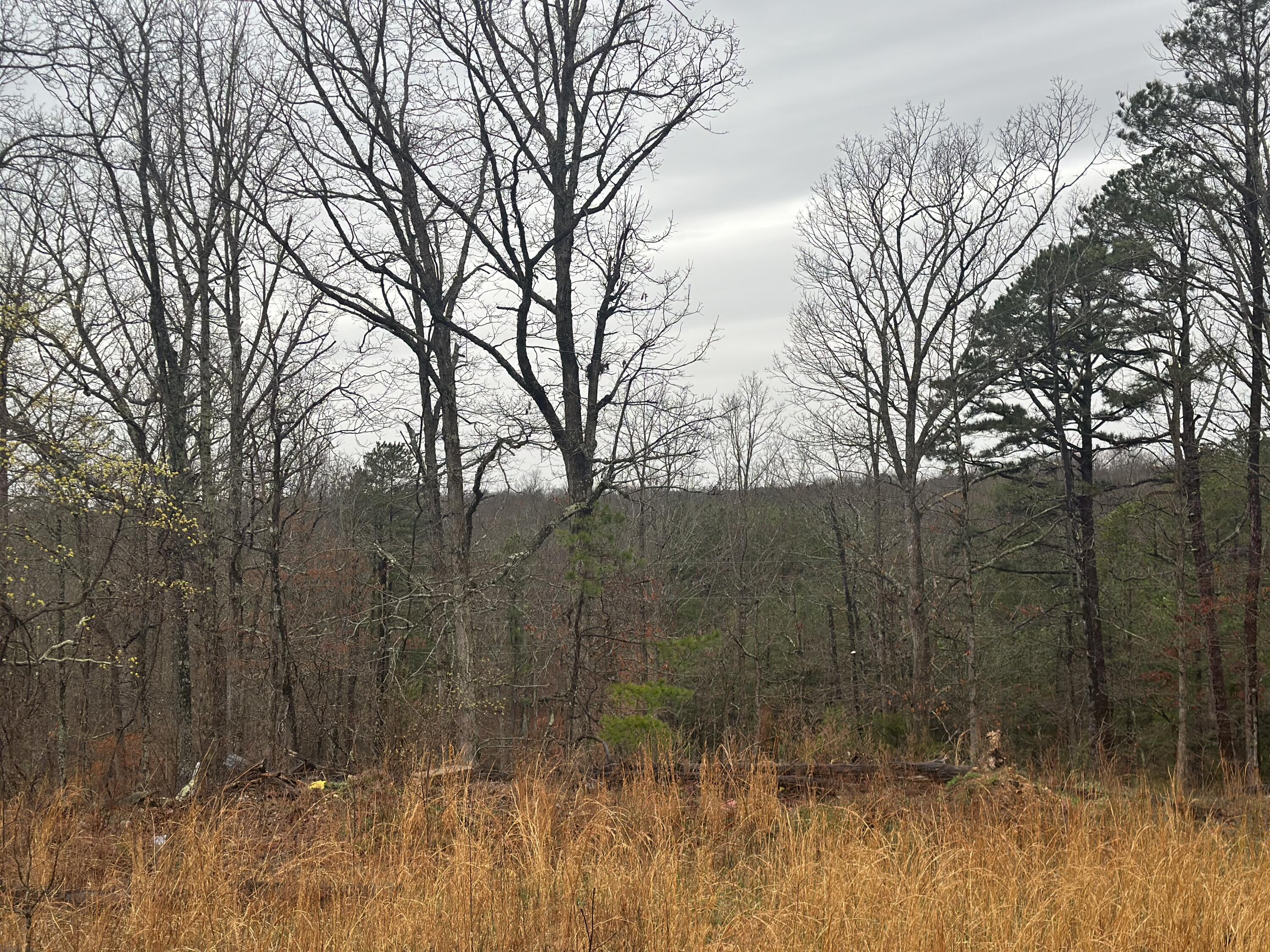 000 Us Highway 63 Property Photo 7