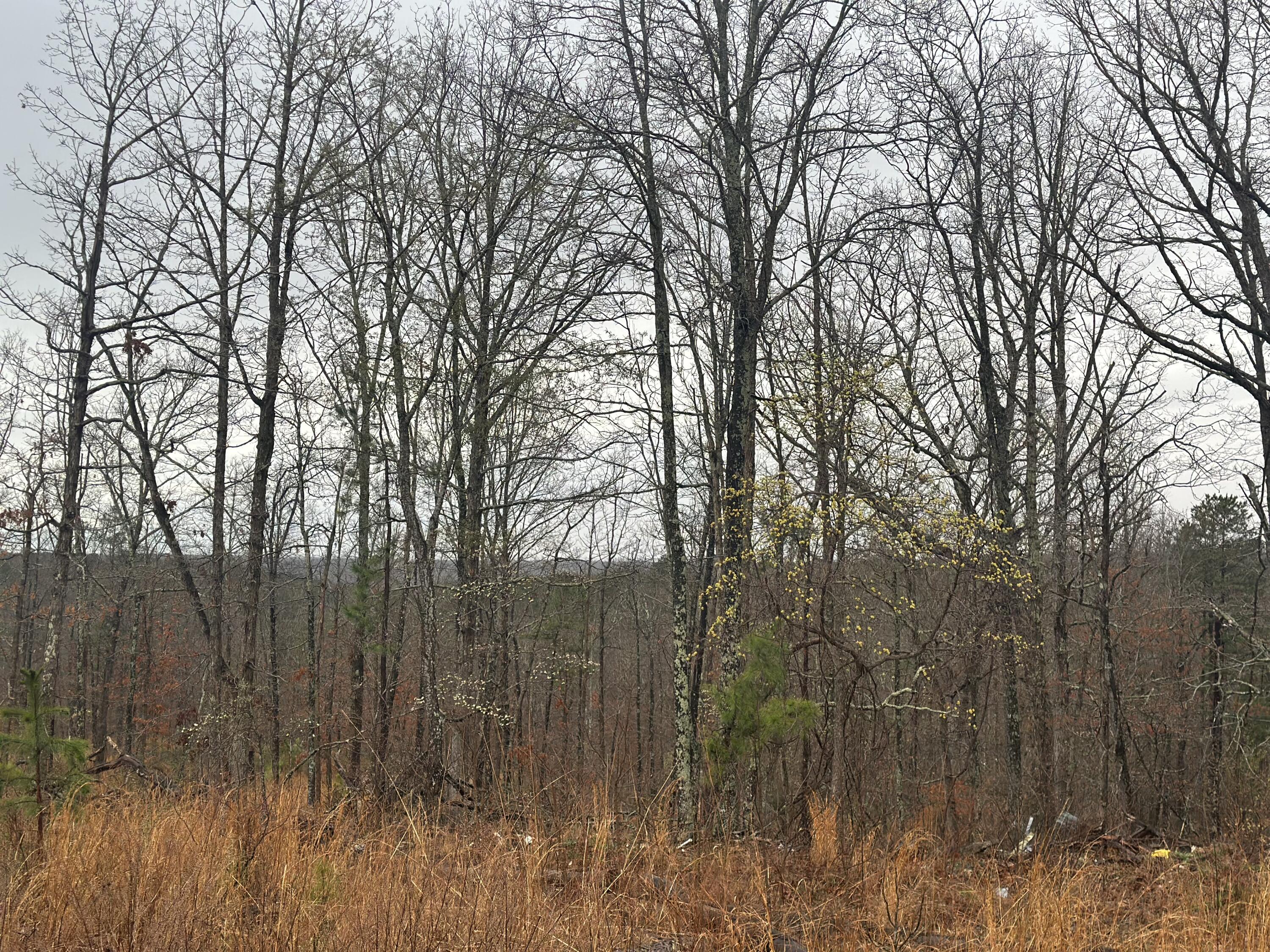 000 Us Highway 63 Property Photo 8