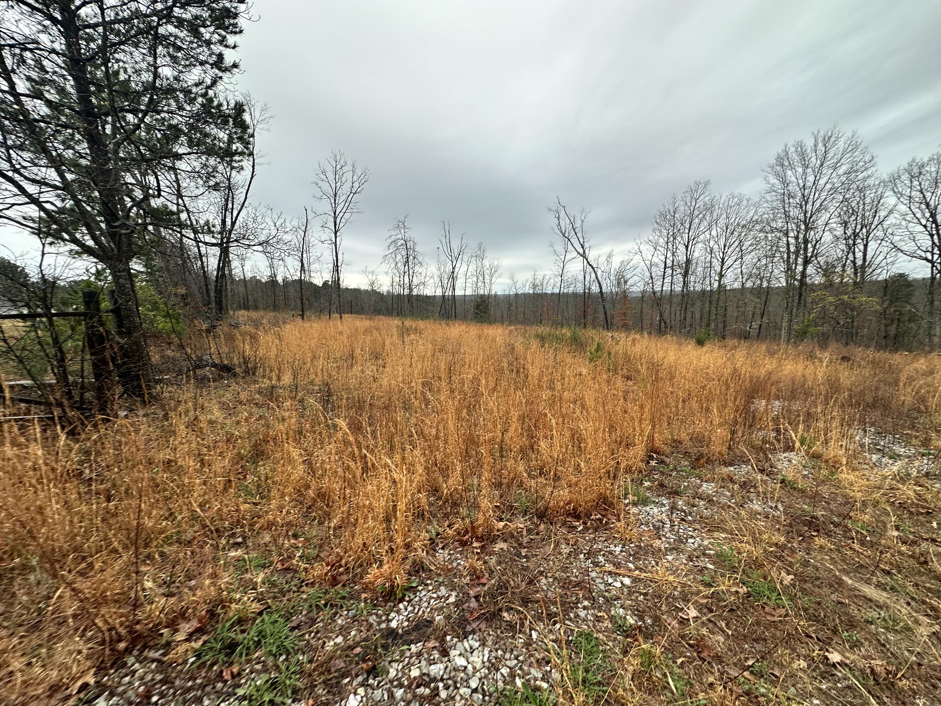 000 Us Highway 63 Property Photo 11