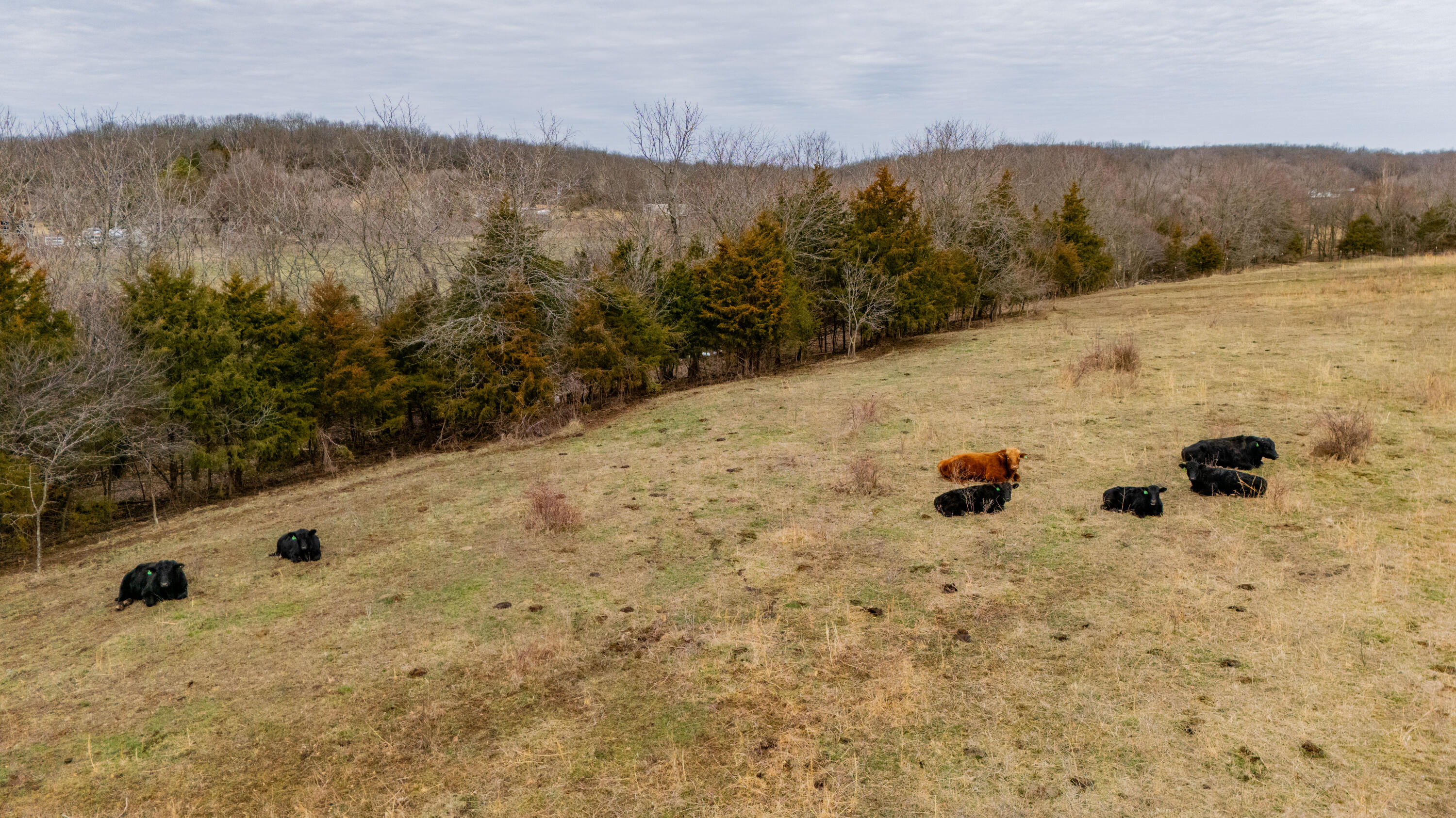002 Highway H Property Photo 16