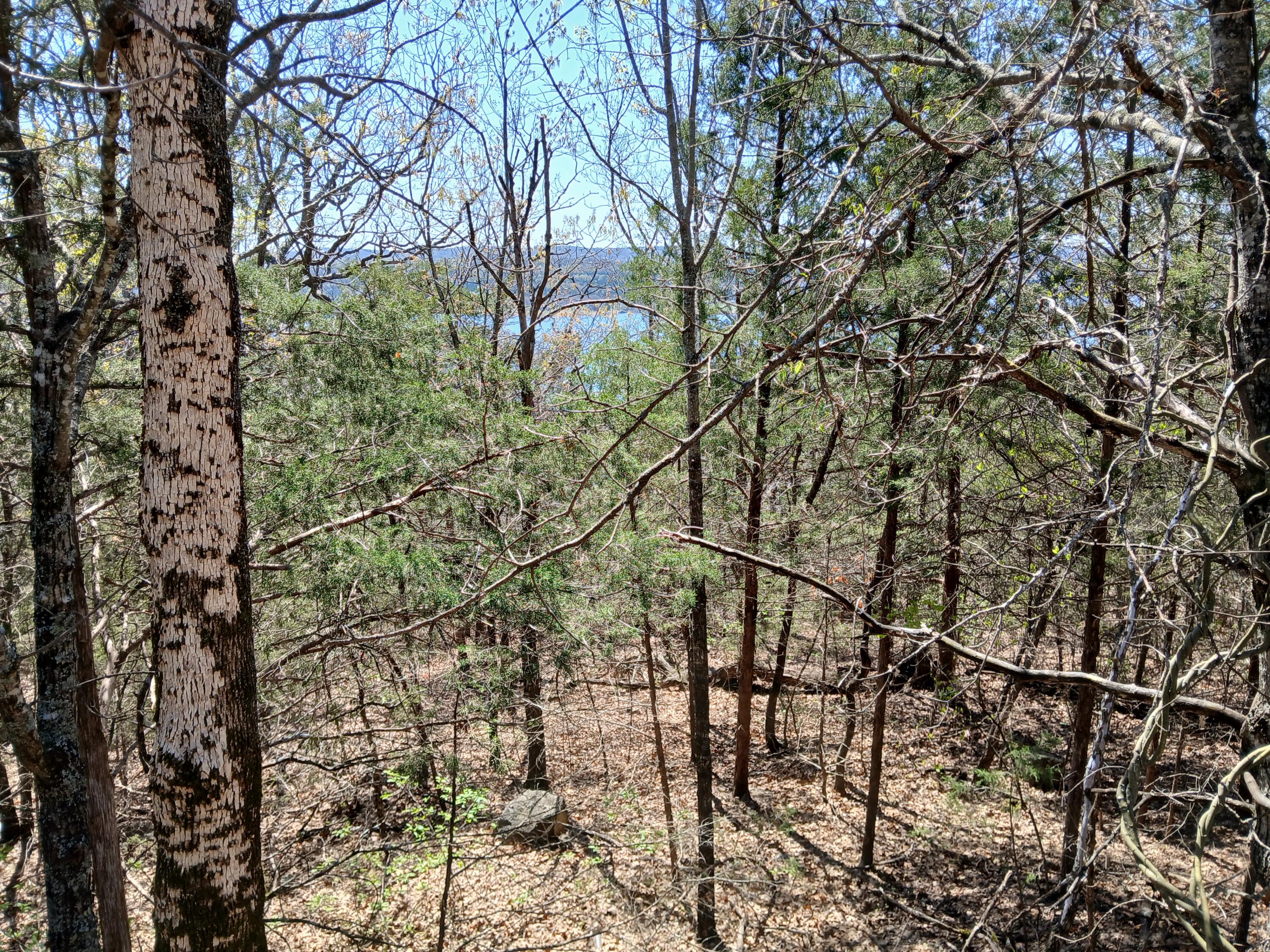 Lot 18 Shadow Ridge Drive Property Photo 1