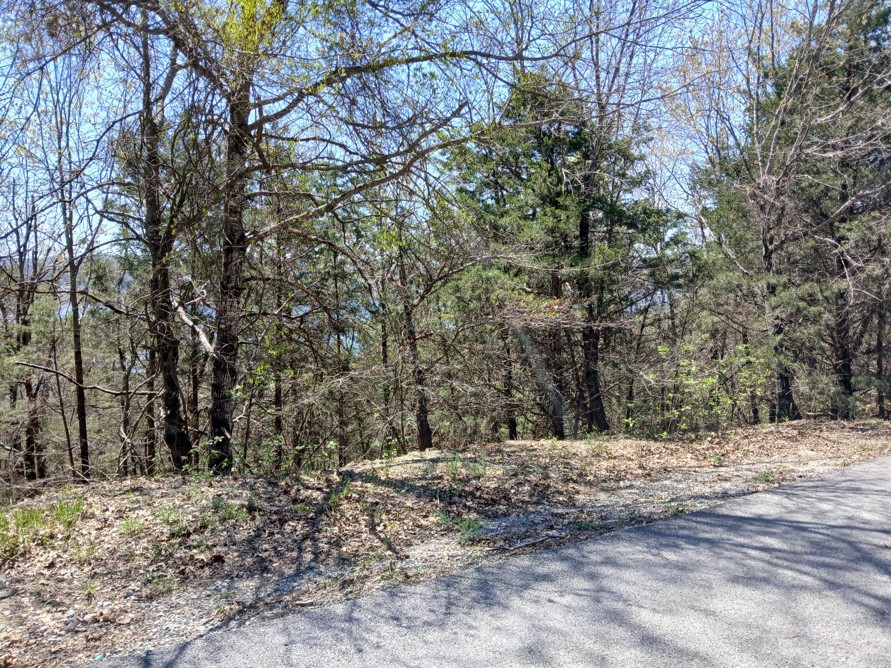 Lot 18 Shadow Ridge Drive Property Photo 2