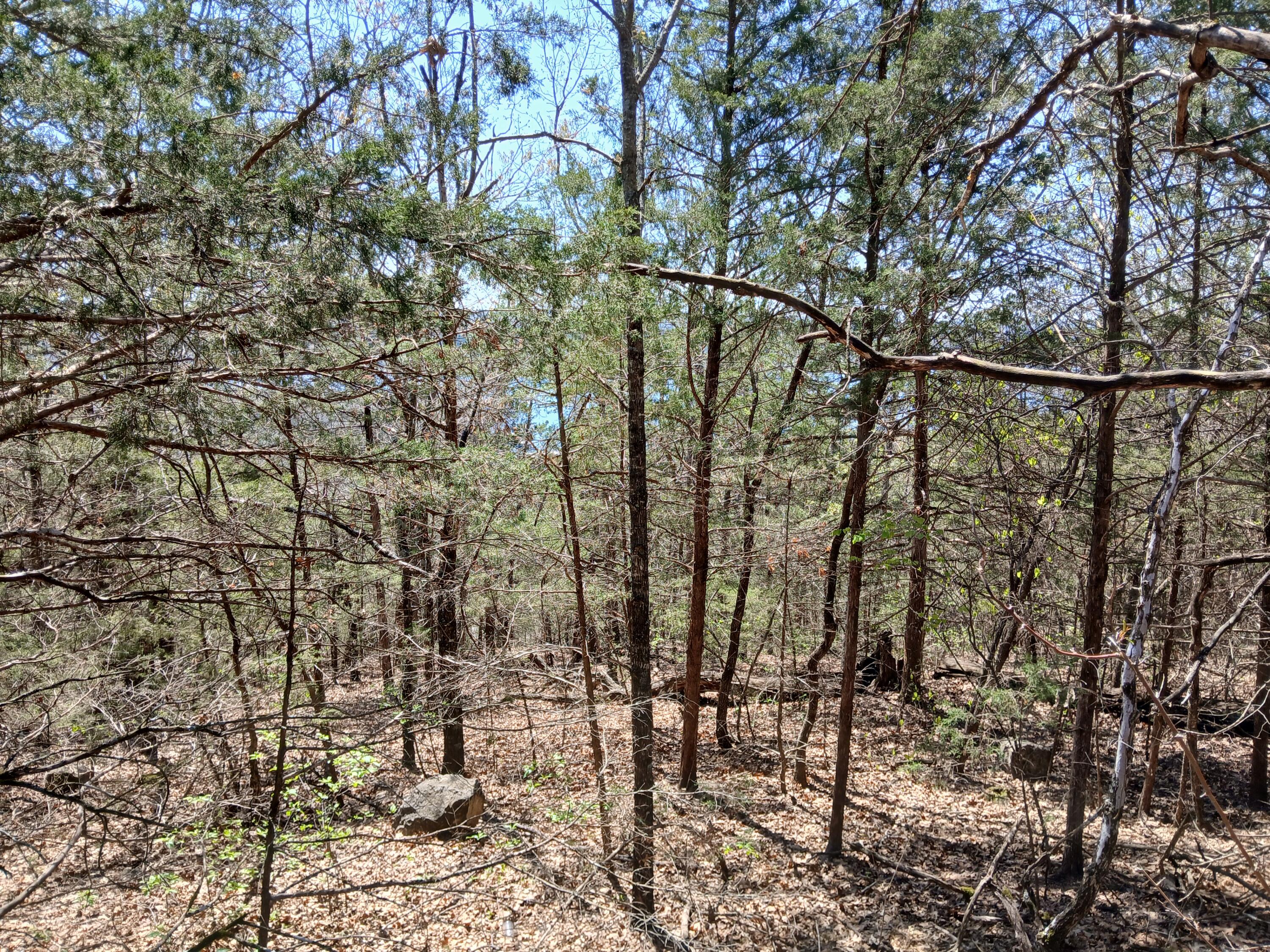 Lot 18 Shadow Ridge Drive Property Photo 3