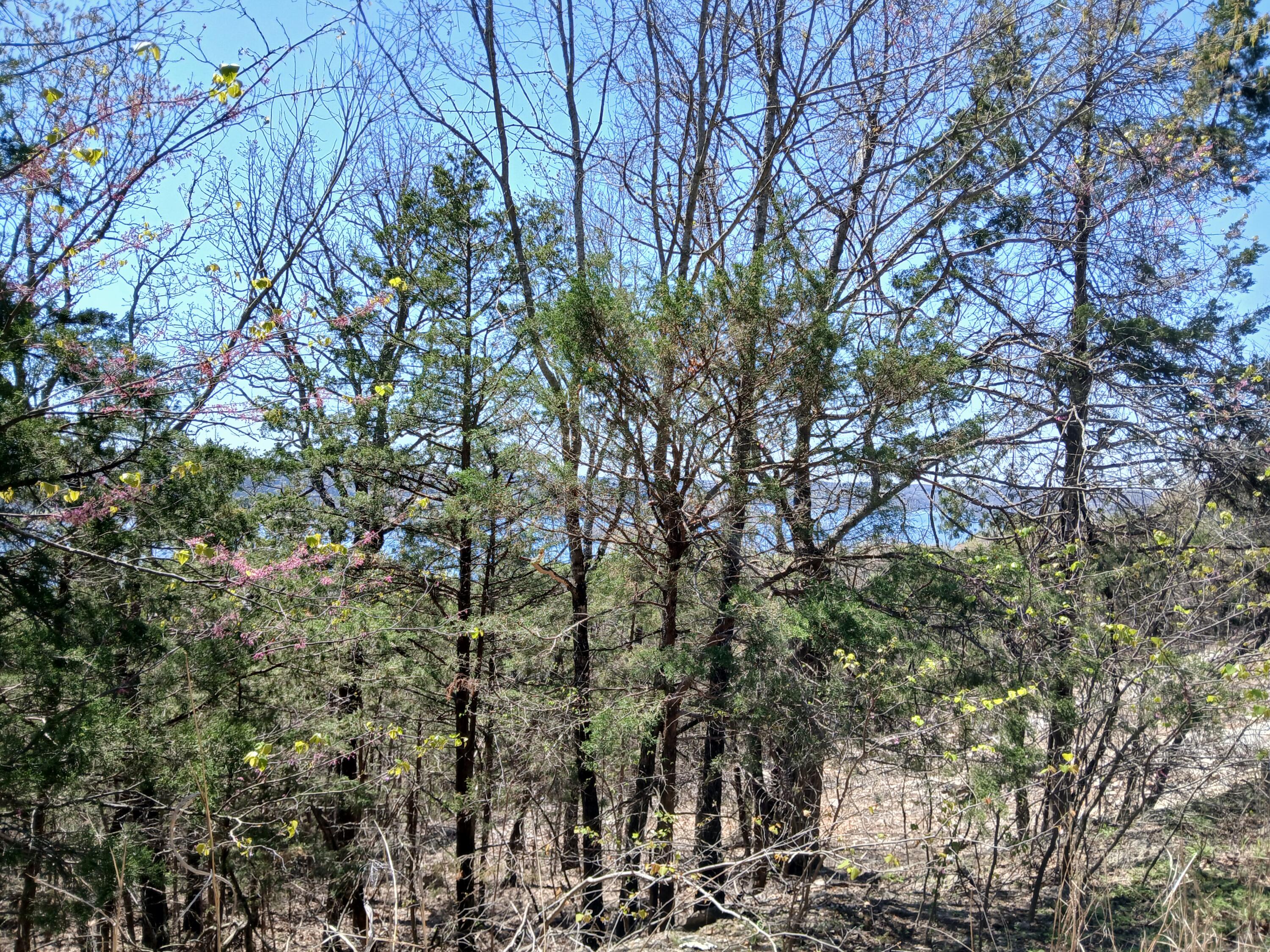 Lot 18 Shadow Ridge Drive Property Photo 4