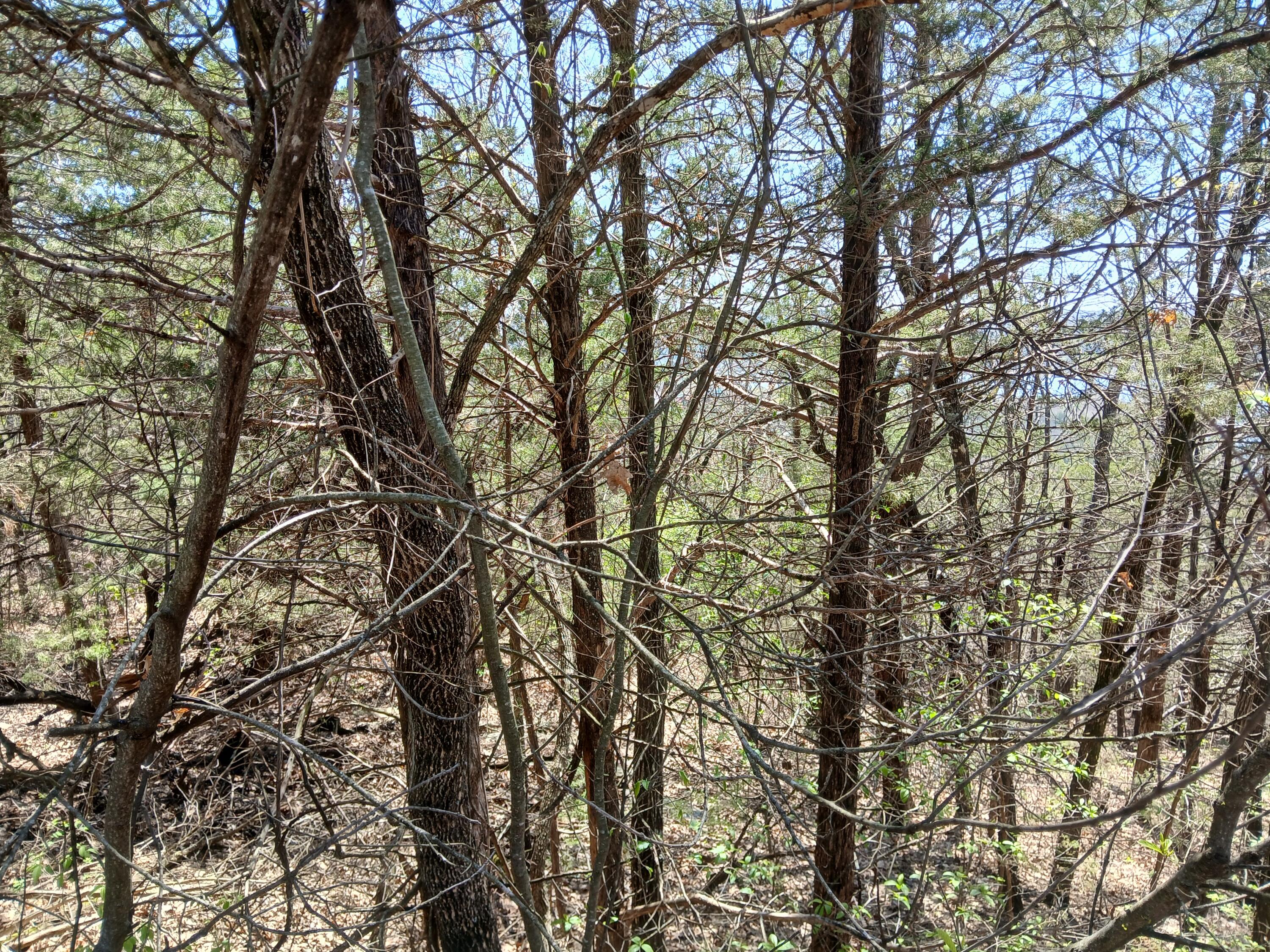 Lot 18 Shadow Ridge Drive Property Photo 6