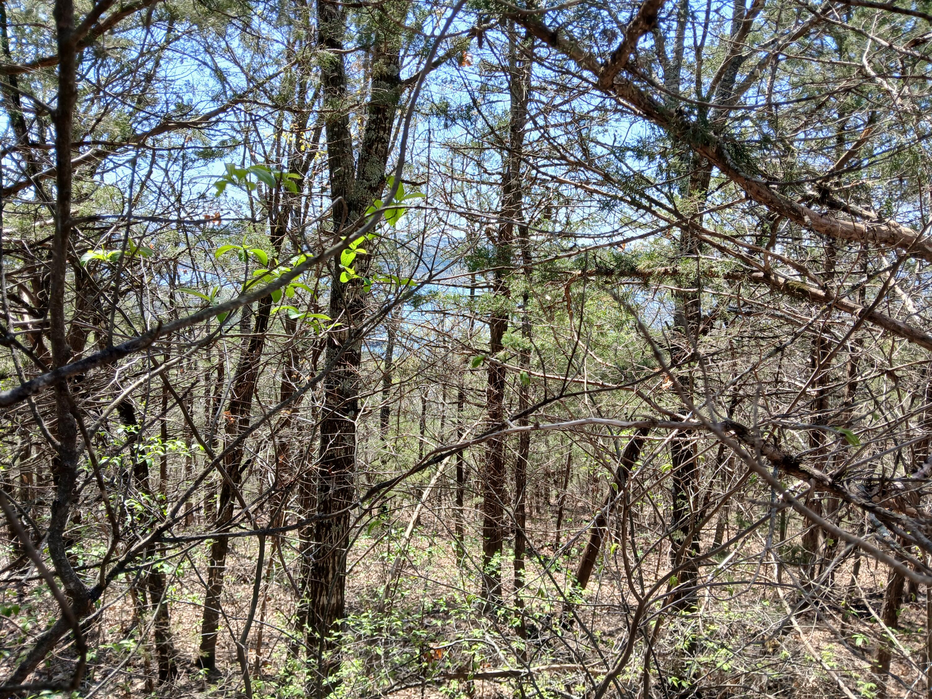 Lot 18 Shadow Ridge Drive Property Photo 7