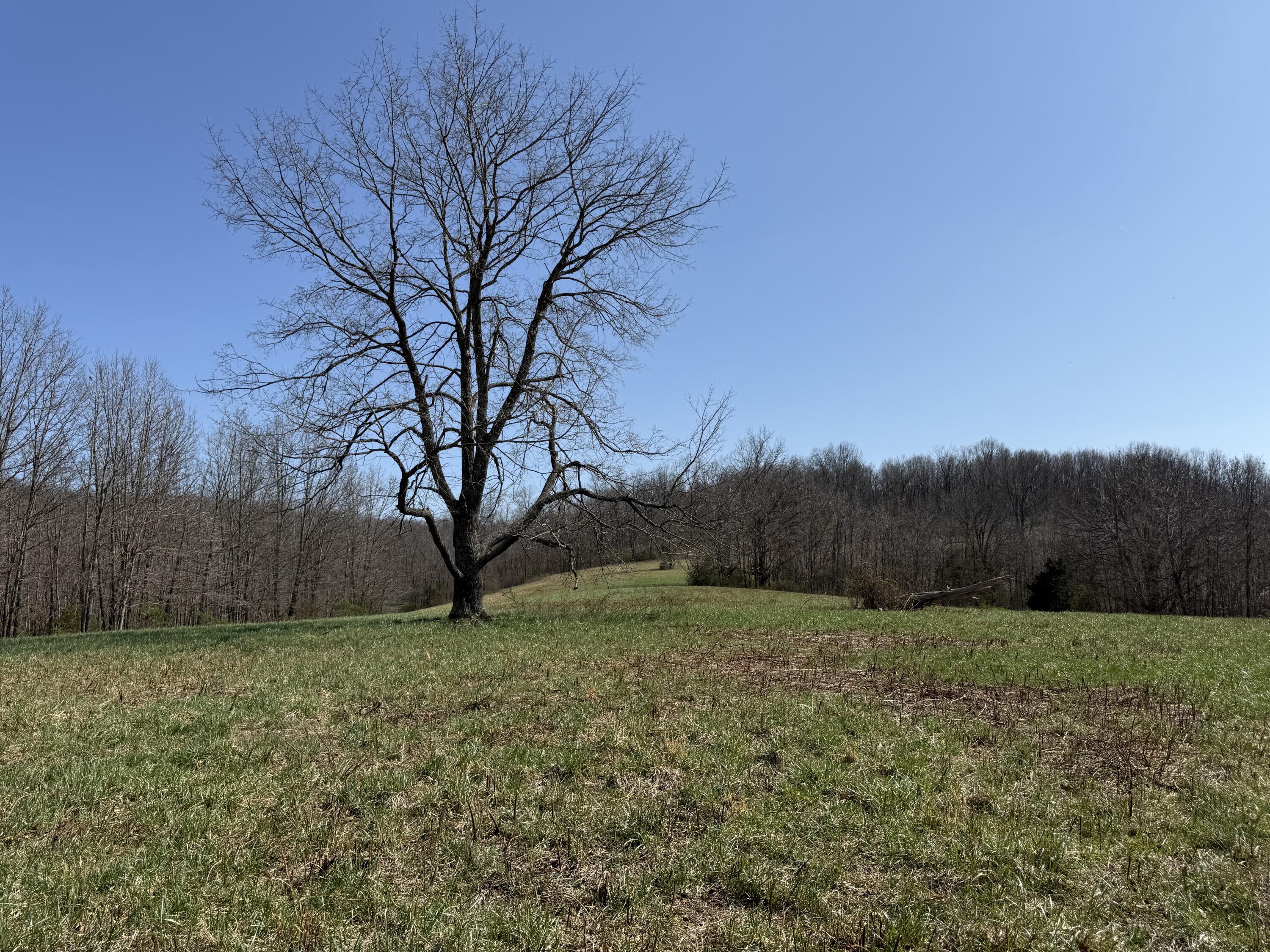 000 Harmony Road Property Photo 2