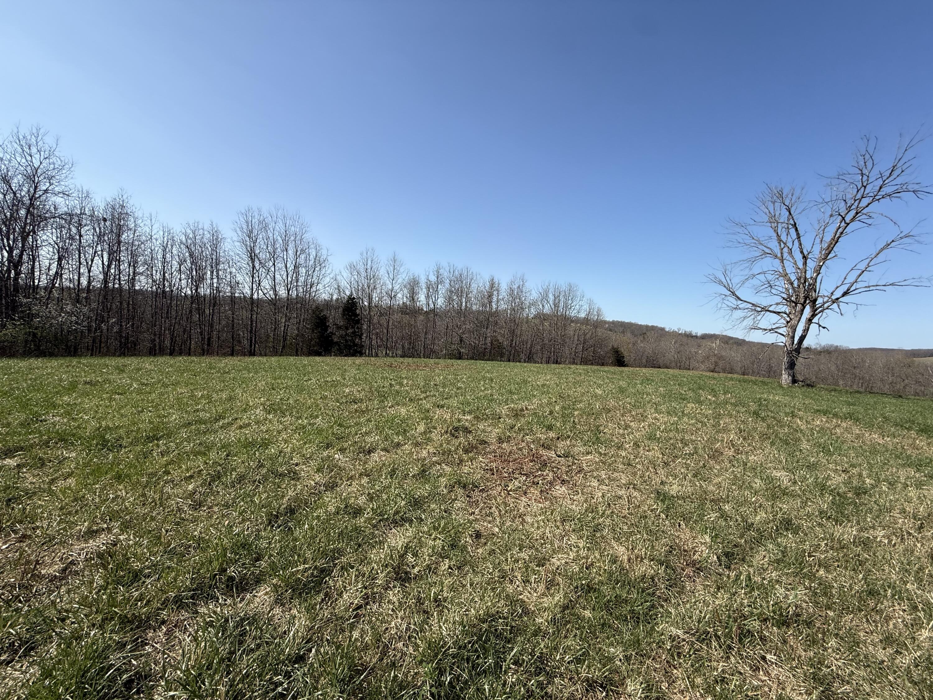 000 Harmony Road Property Photo 9