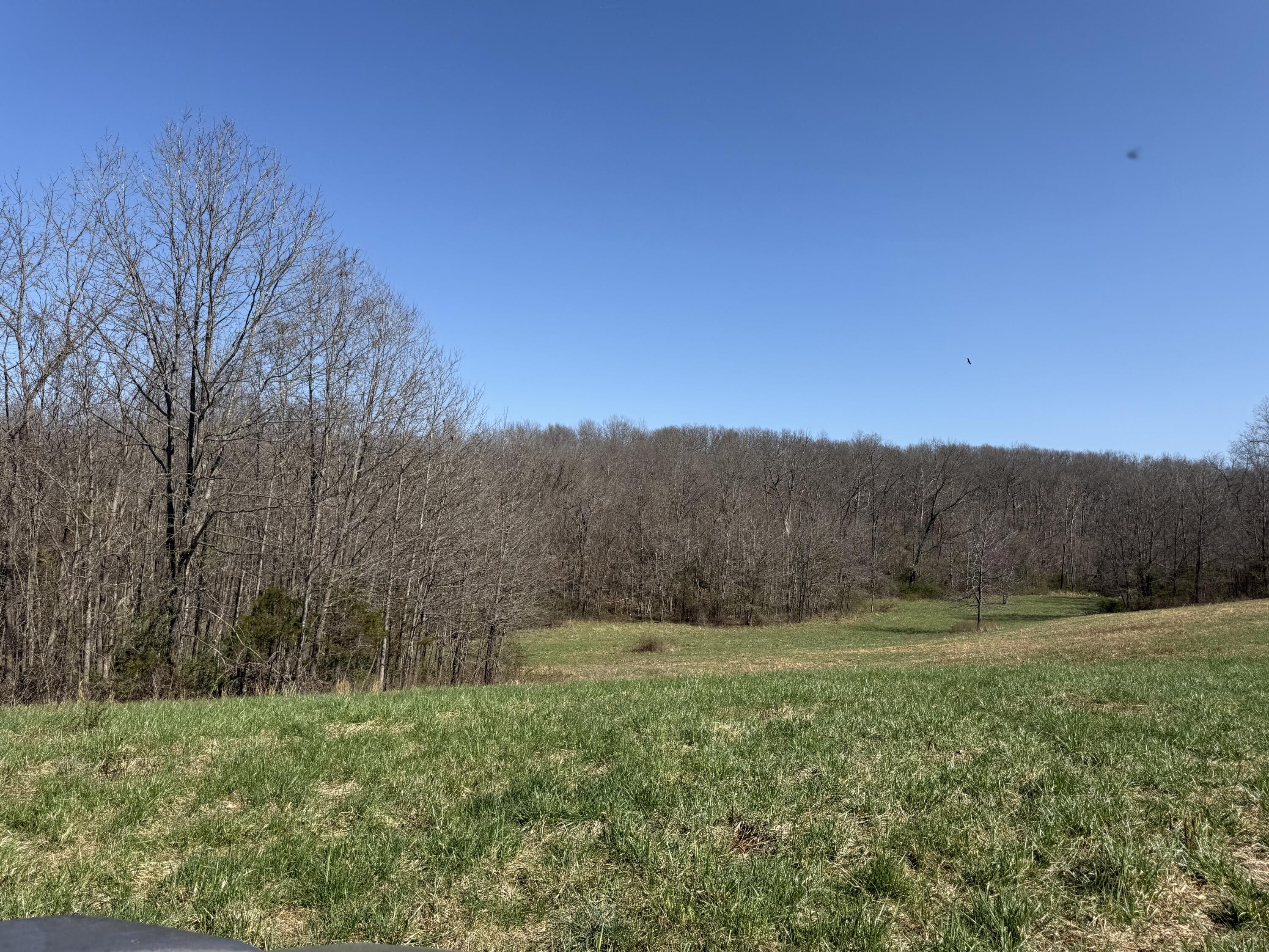 000 Harmony Road Property Photo 11
