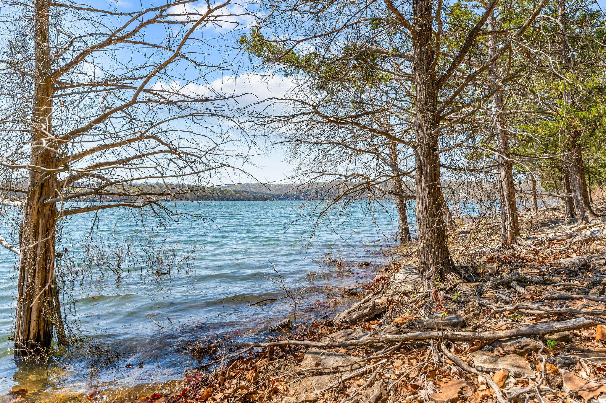 3366 Pioneer Point Road Property Photo 65