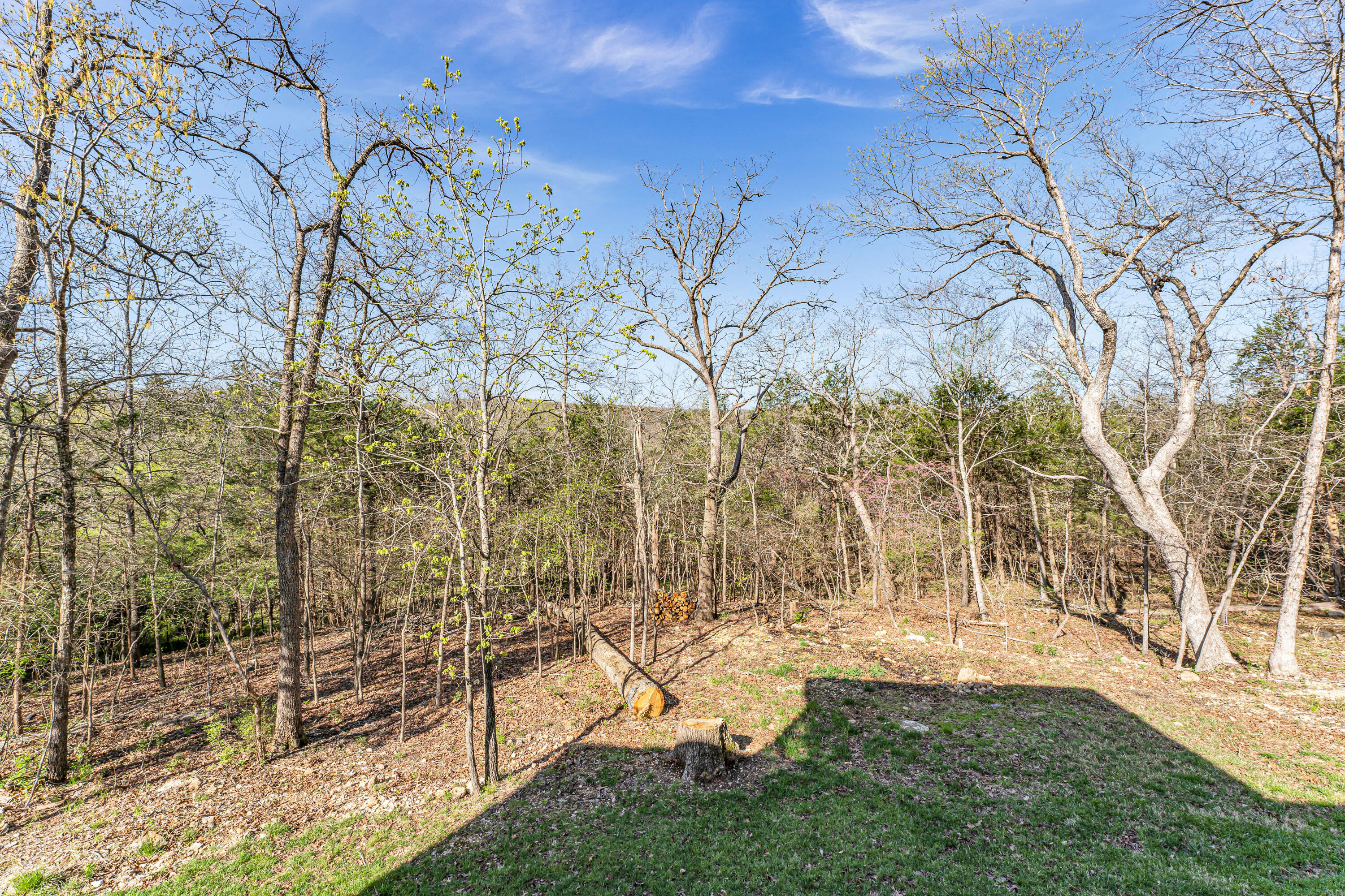 221 Maplewood Street Property Photo 46