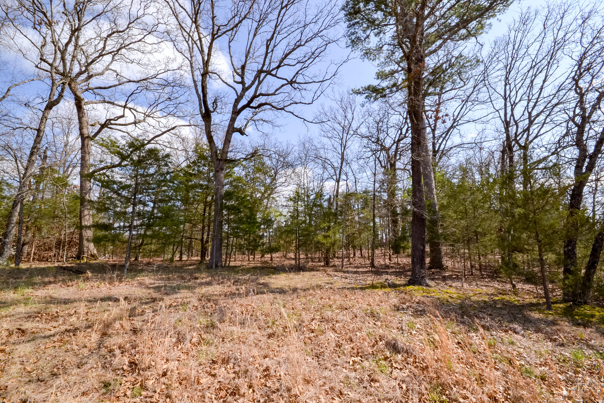 000 Farm Road 2250 Property Photo 12