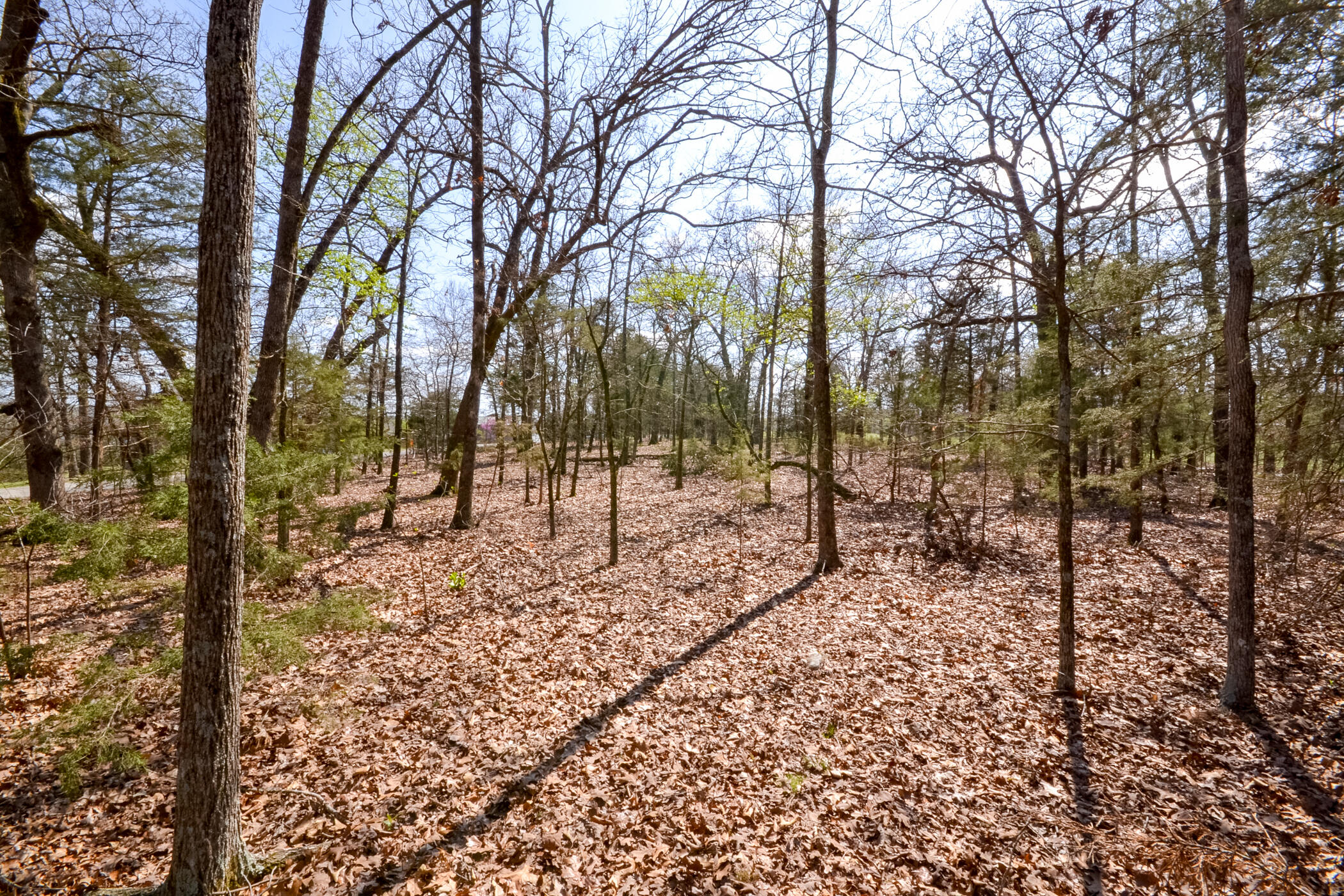 000 Farm Road 2250 Property Photo 13