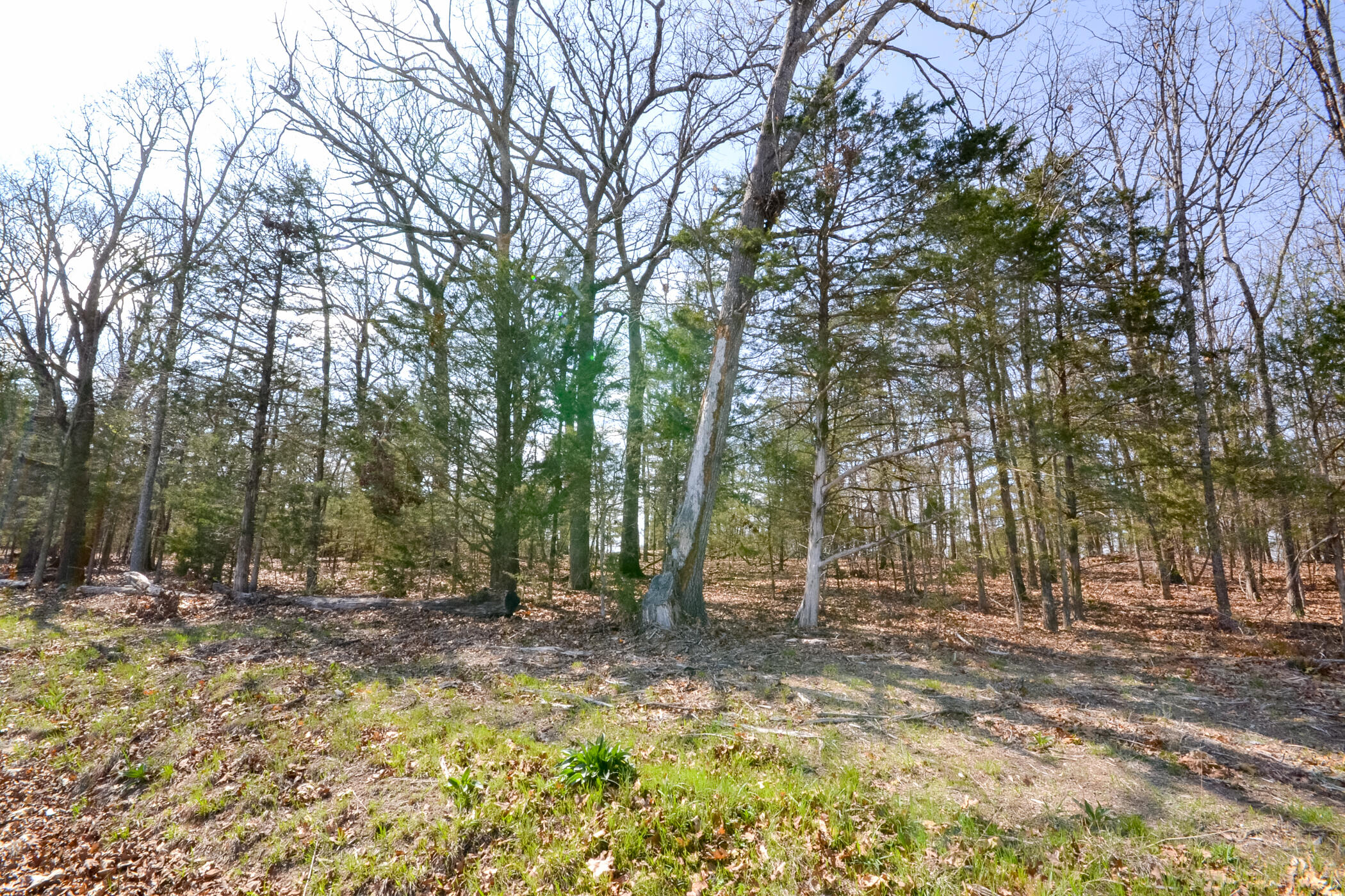 000 Farm Road 2250 Property Photo 14
