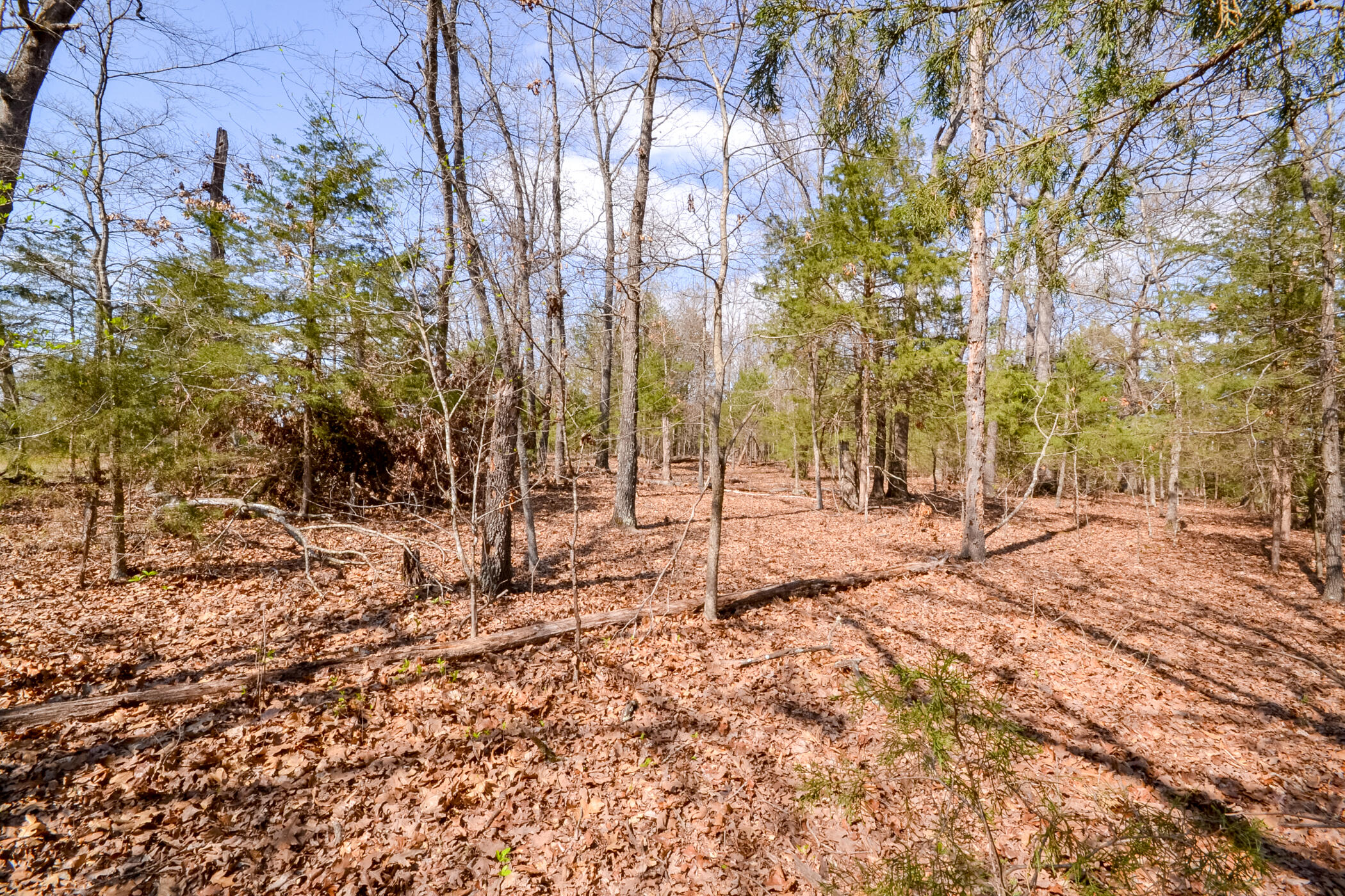 000 Farm Road 2250 Property Photo 15
