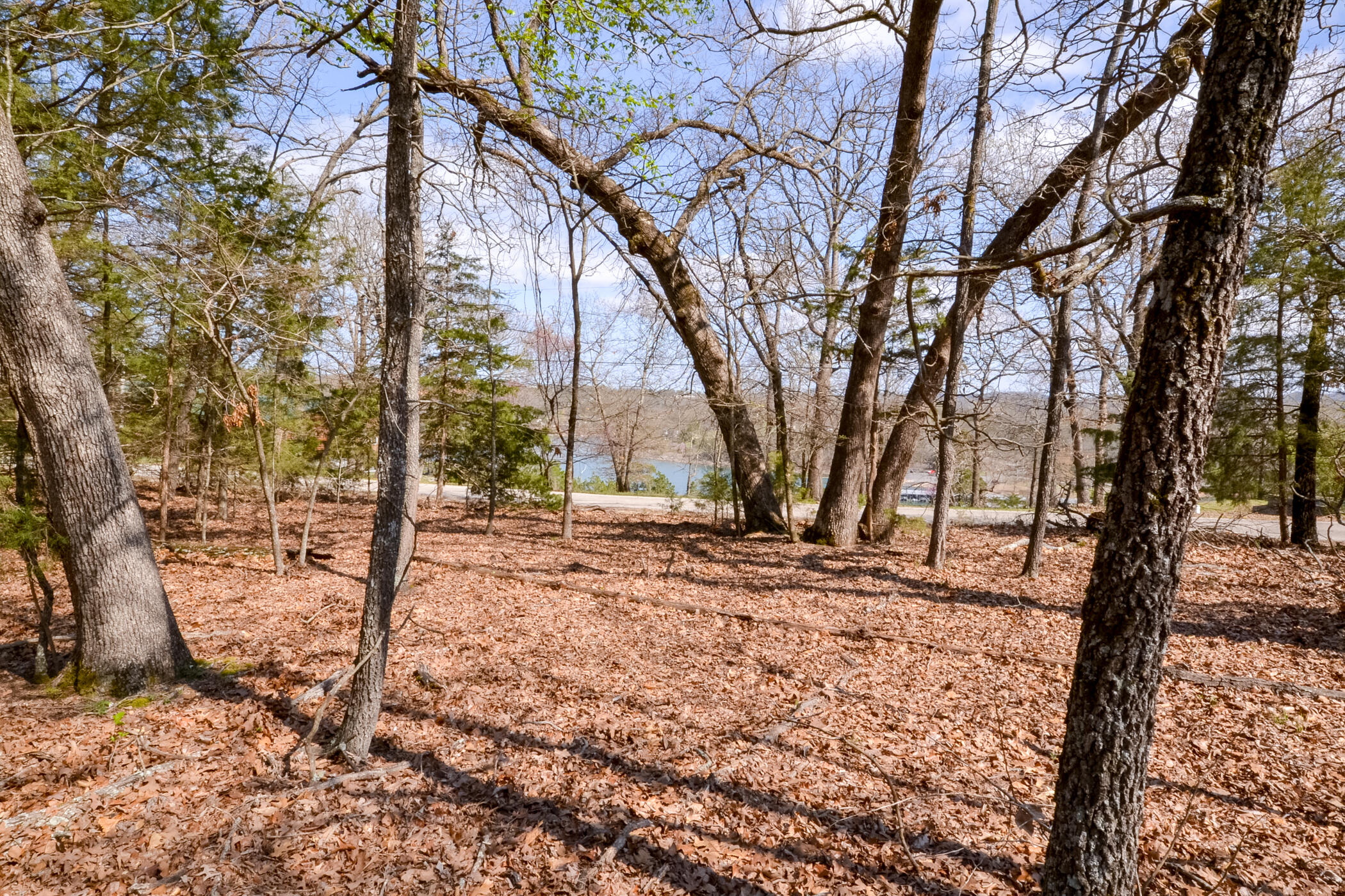 000 Farm Road 2250 Property Photo 16