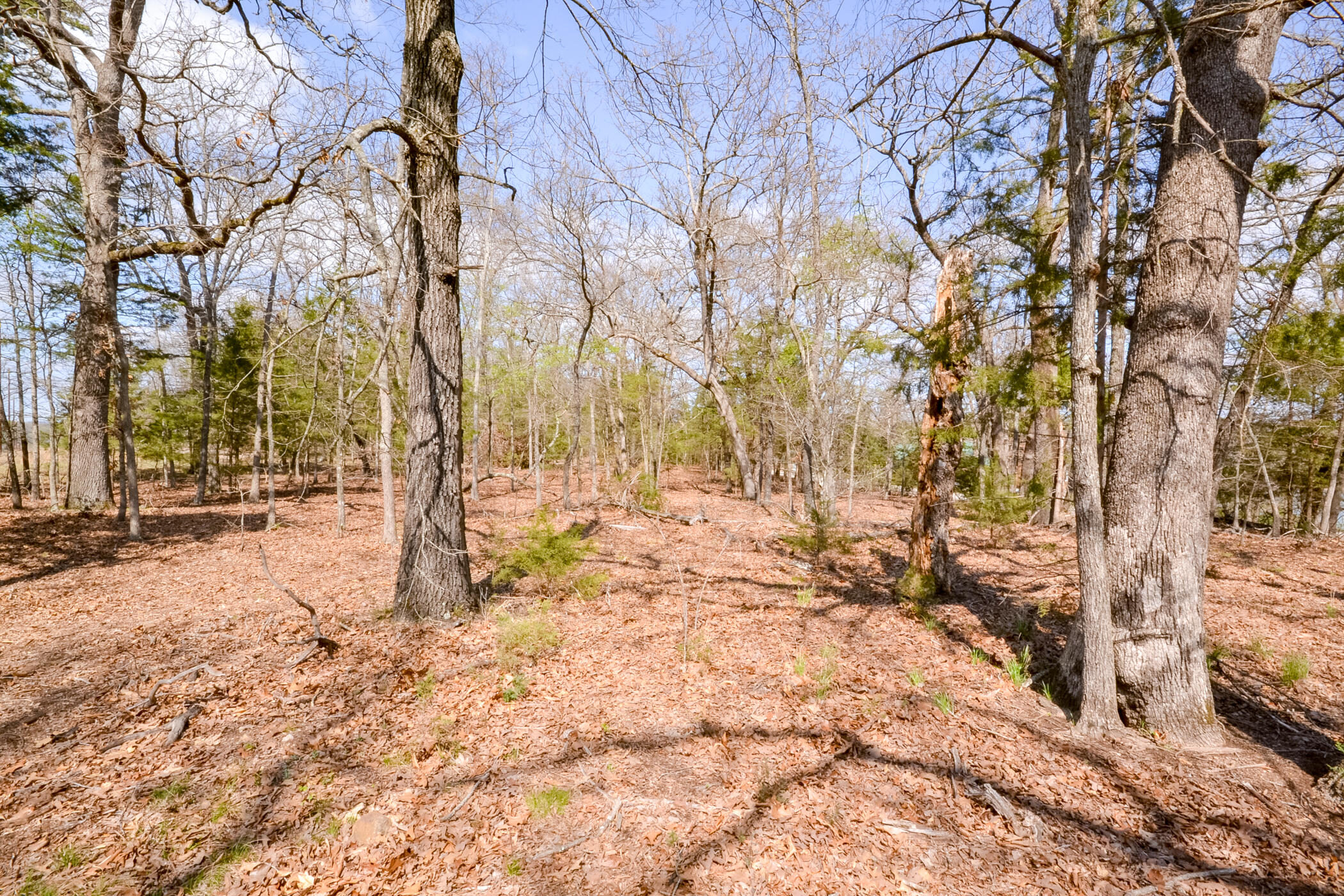 000 Farm Road 2250 Property Photo 17