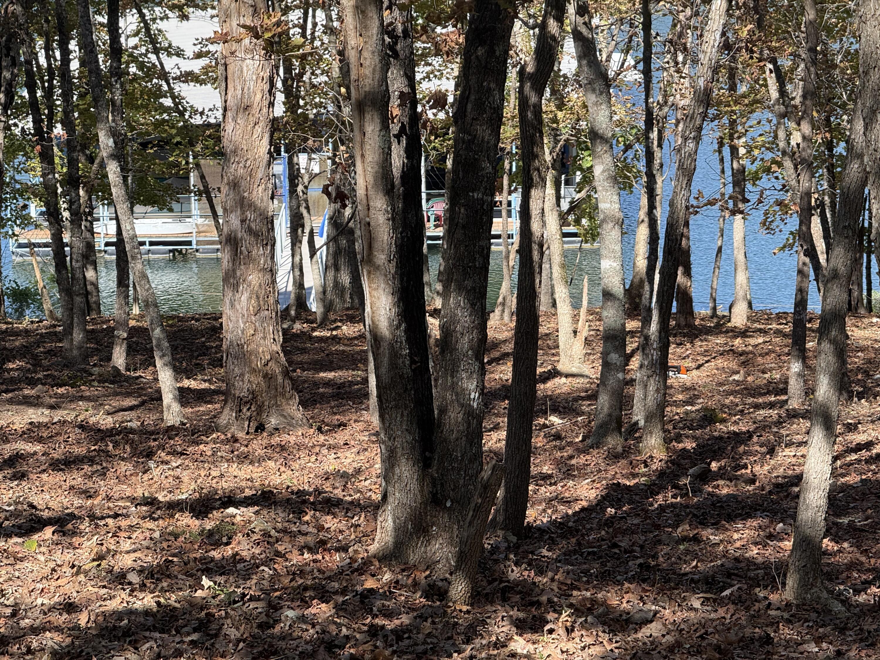 21 Tall Cedar Lane Property Photo 42