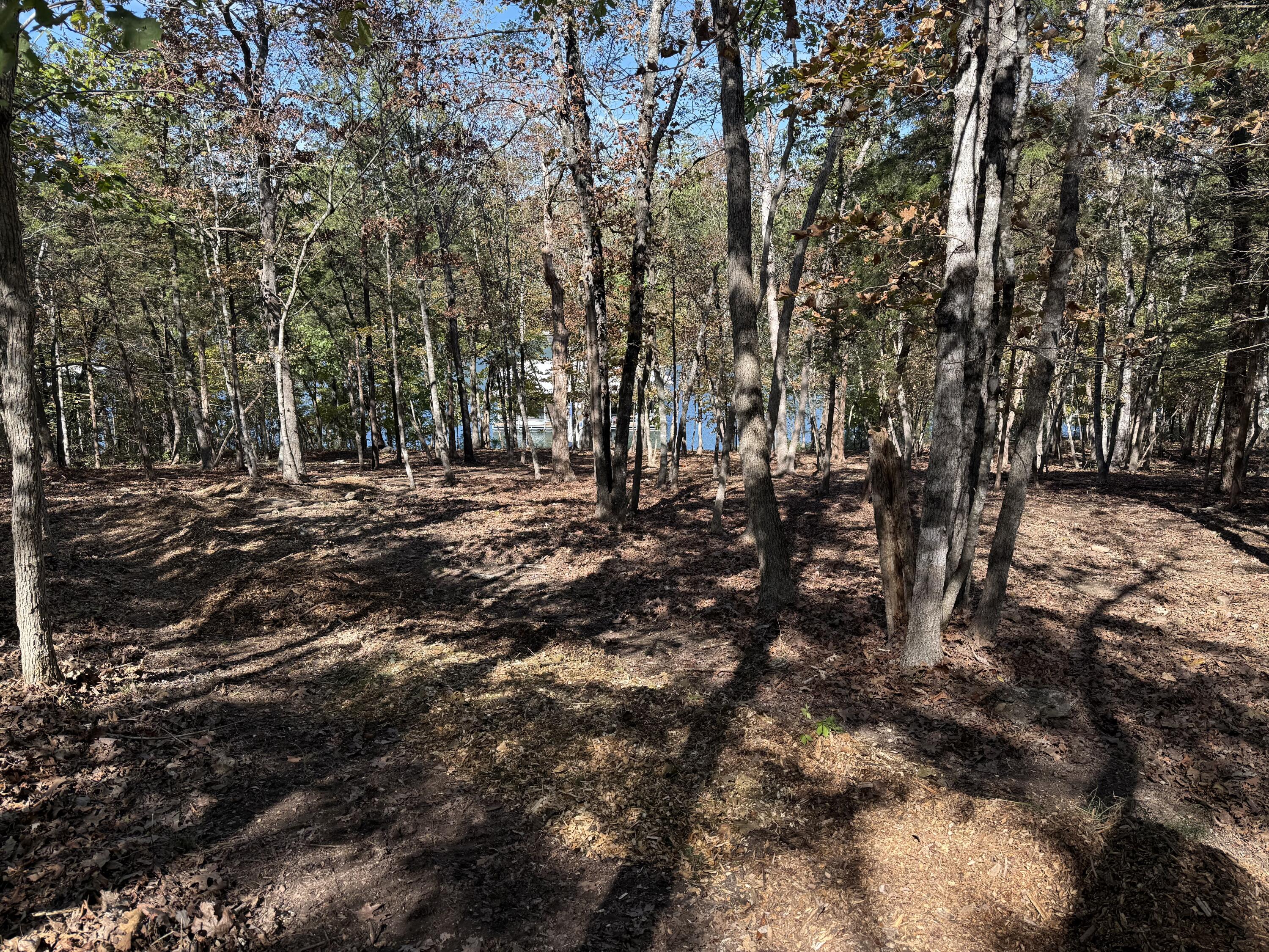 21 Tall Cedar Lane Property Photo 63