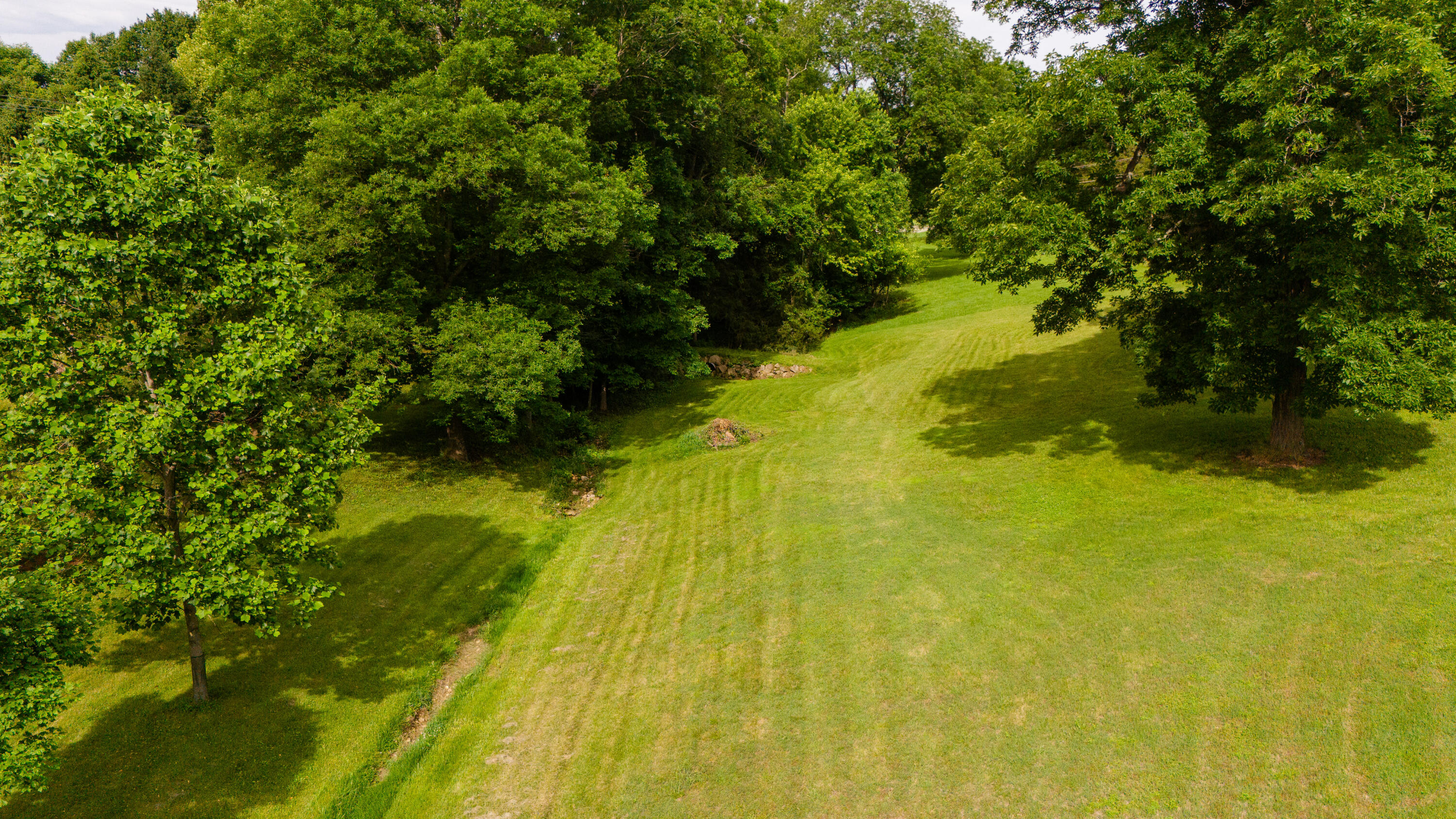 4491 East Farm Rd 136 Property Photo 50