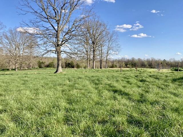 611 County Road 107 Property Photo 41