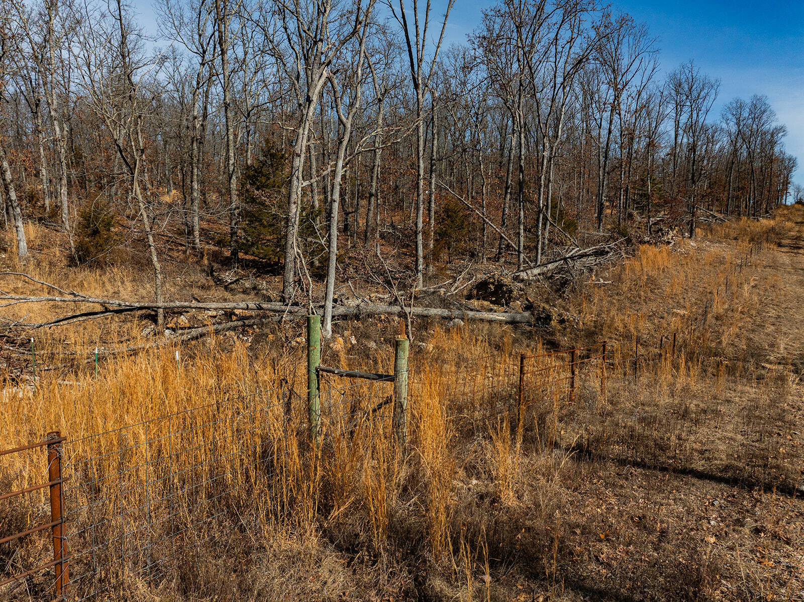 1005 Little Bowen Road Property Photo 63