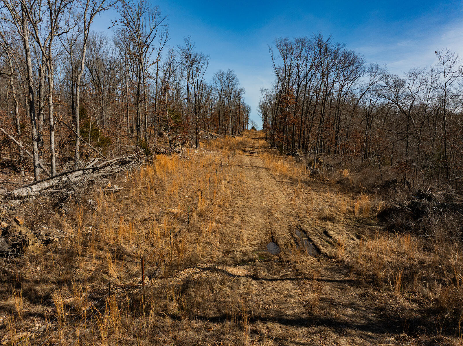 1005 Little Bowen Road Property Photo 64
