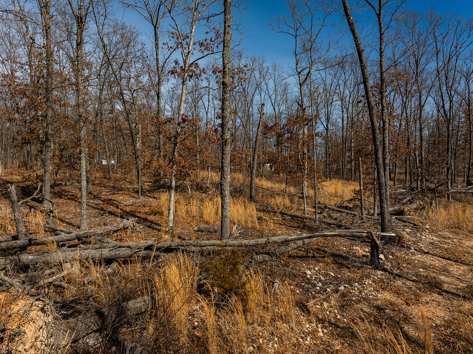 1005 Little Bowen Road Property Photo 65