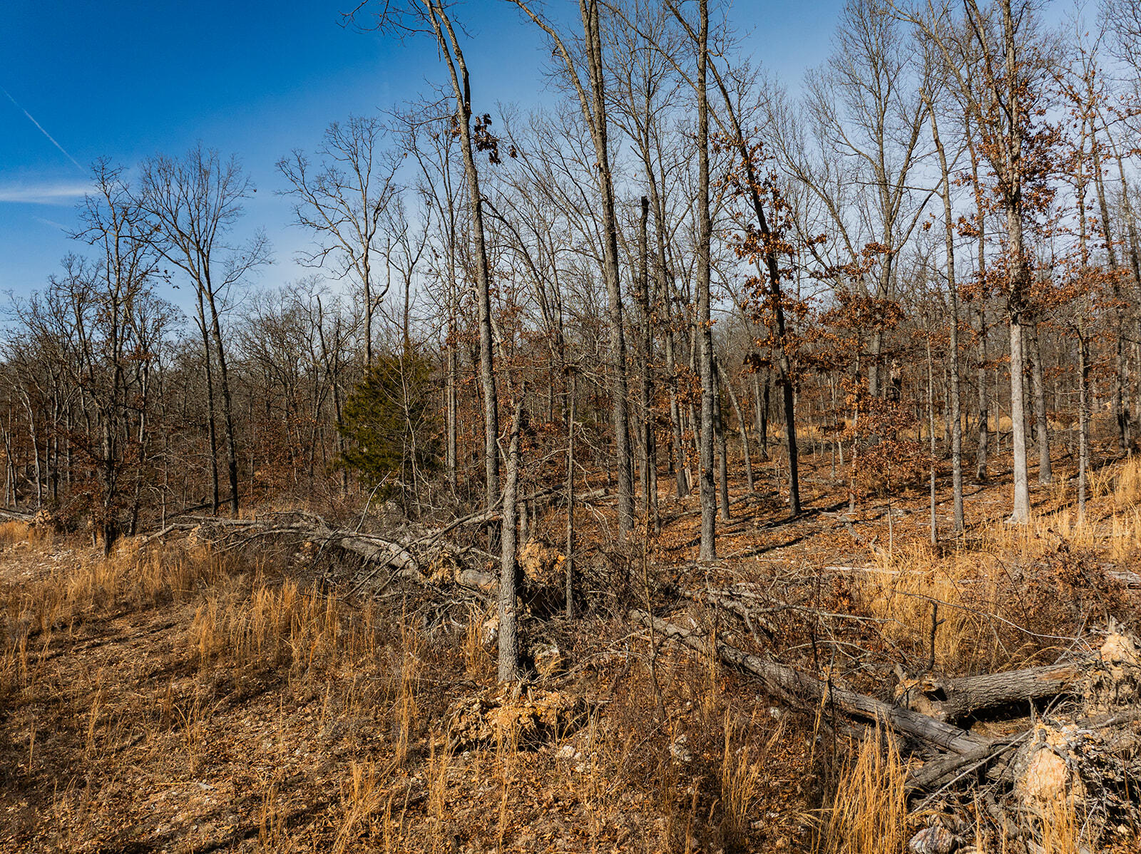 1005 Little Bowen Road Property Photo 66