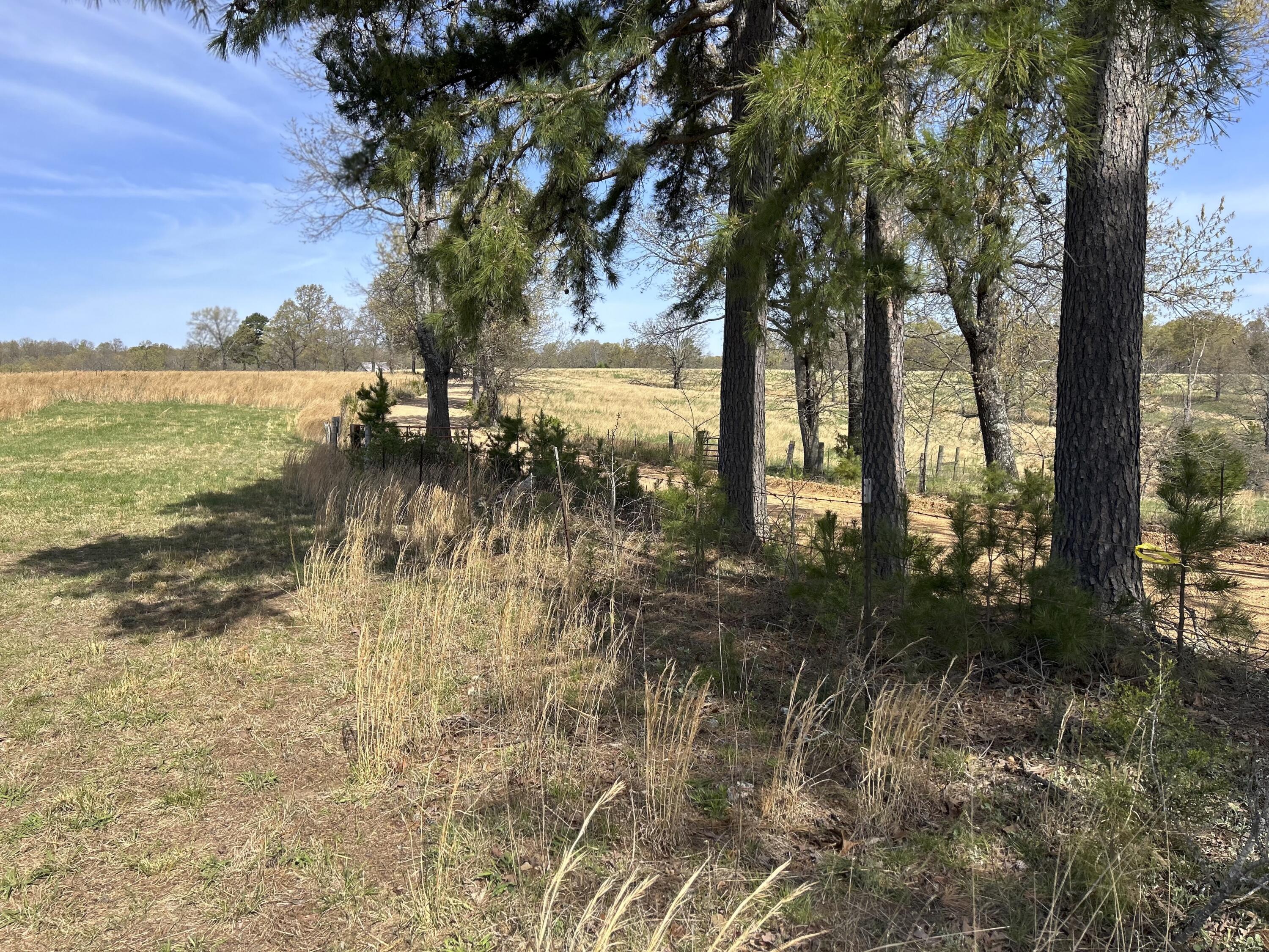 000 Banks Rd Property Photo 3