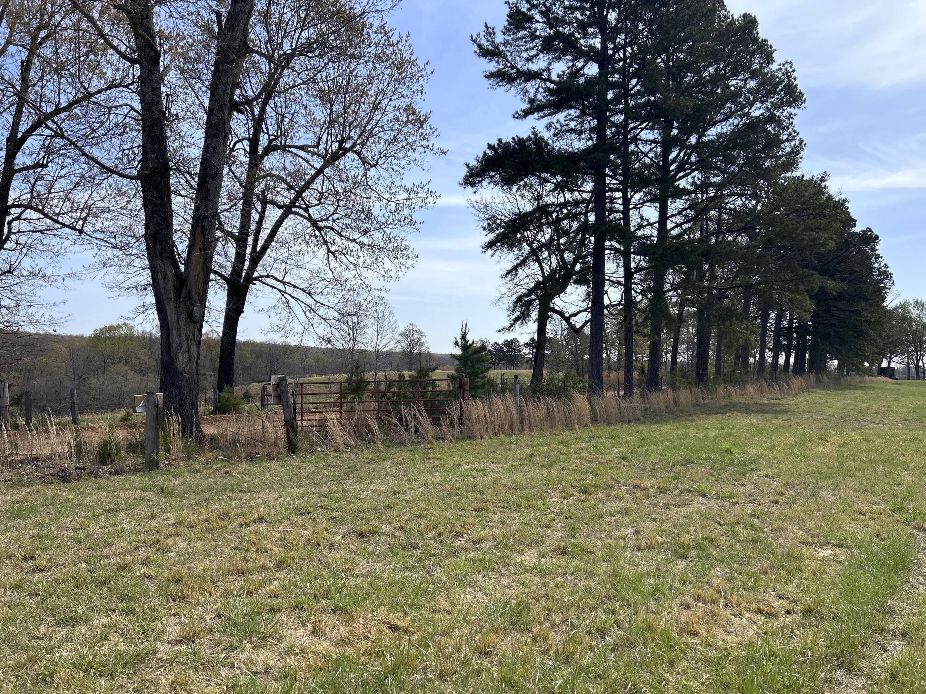 000 Banks Rd Property Photo 4