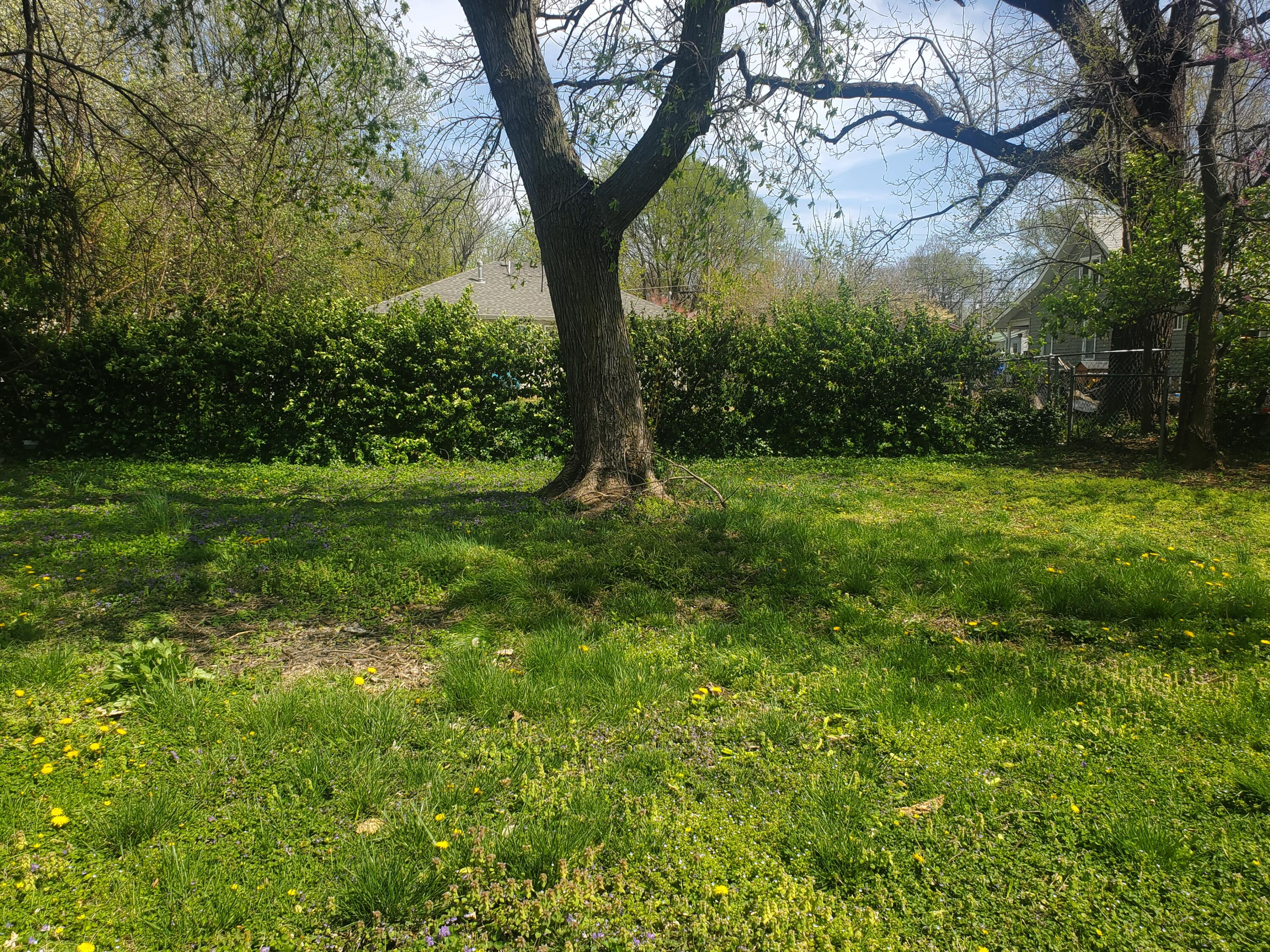 2310 North East Avenue Property Photo 18