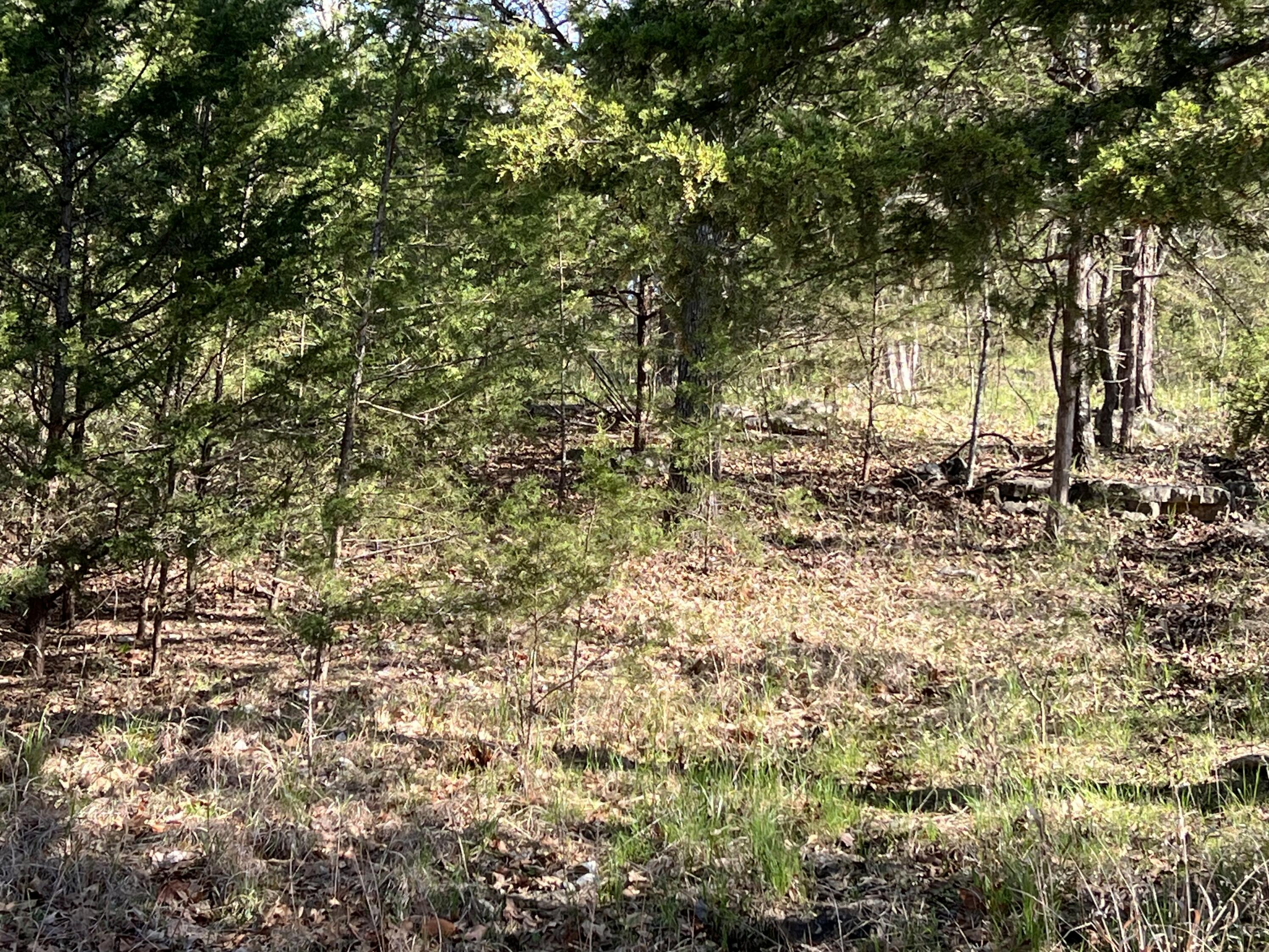 27 Timberlake Circle Property Photo 5