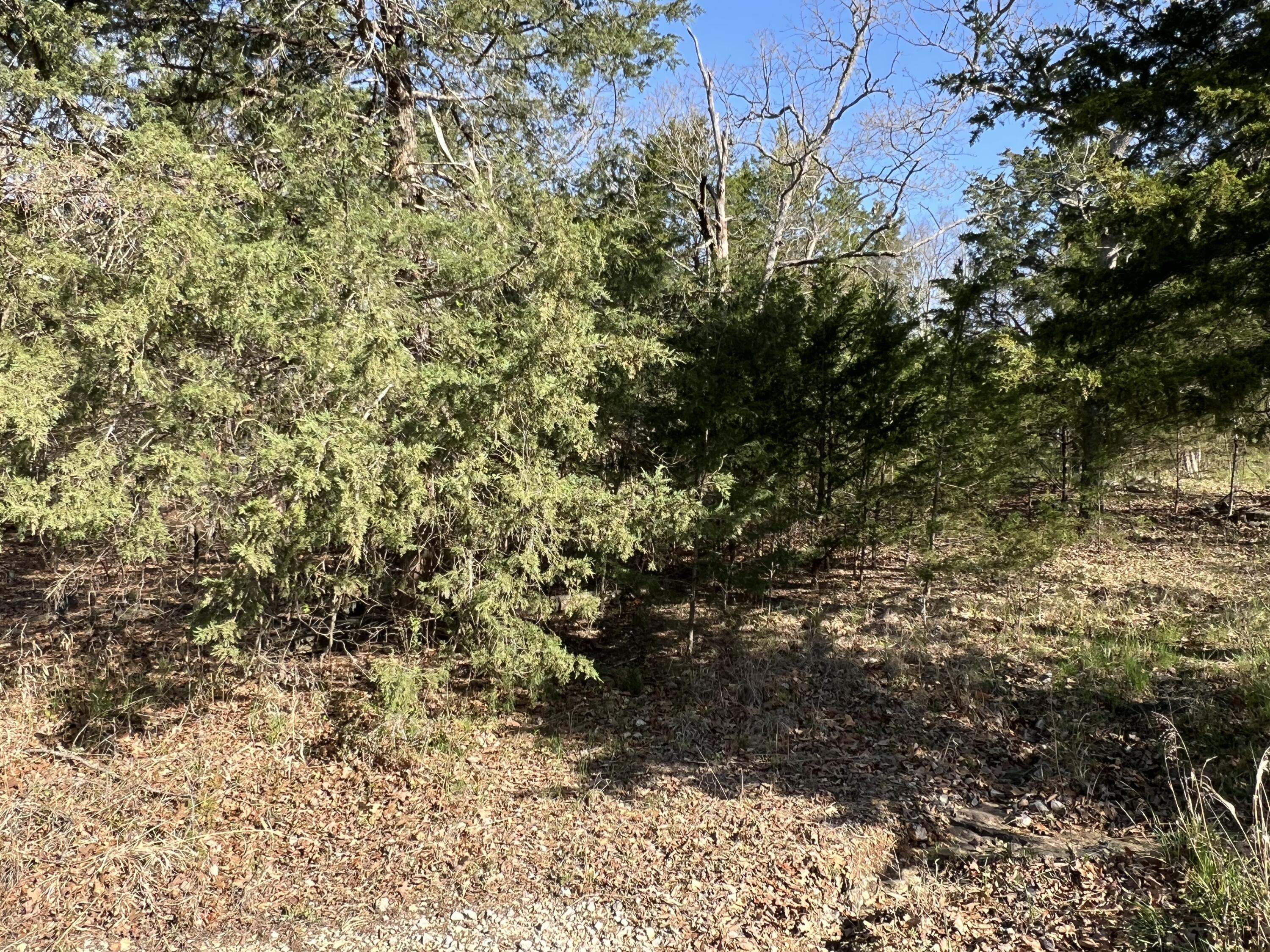 27 Timberlake Circle Property Photo 6