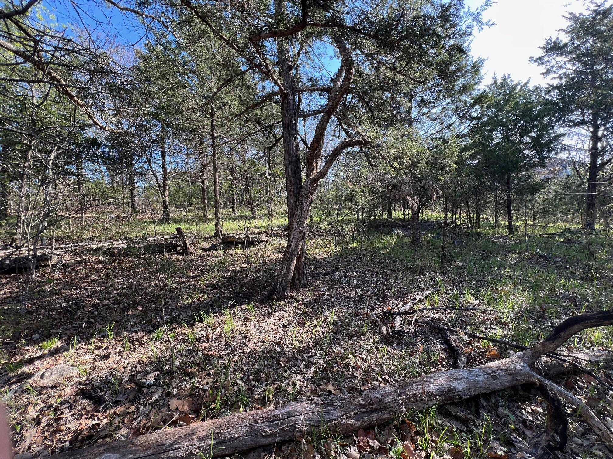 27 Timberlake Circle Property Photo 10
