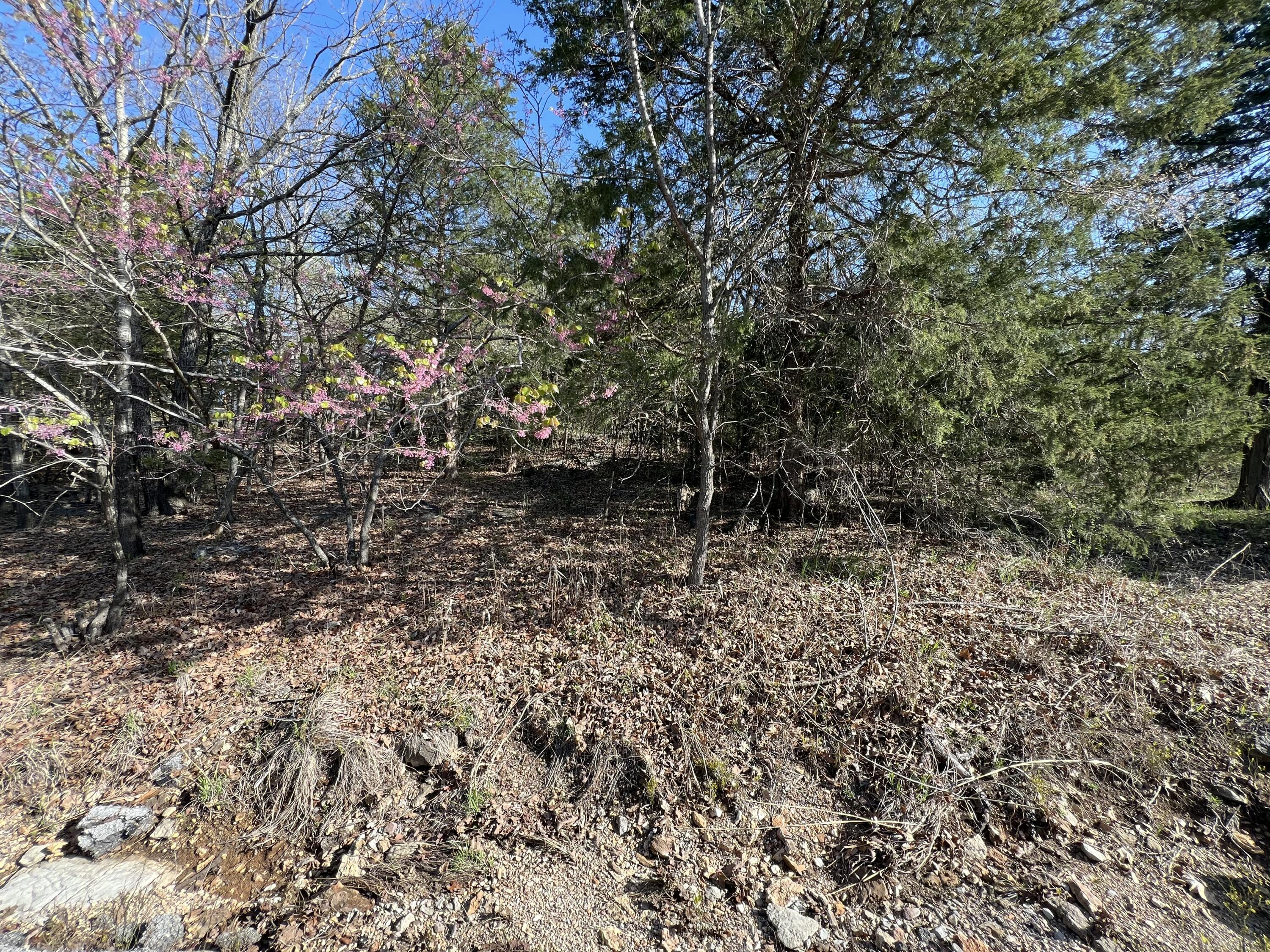27 Timberlake Circle Property Photo 12