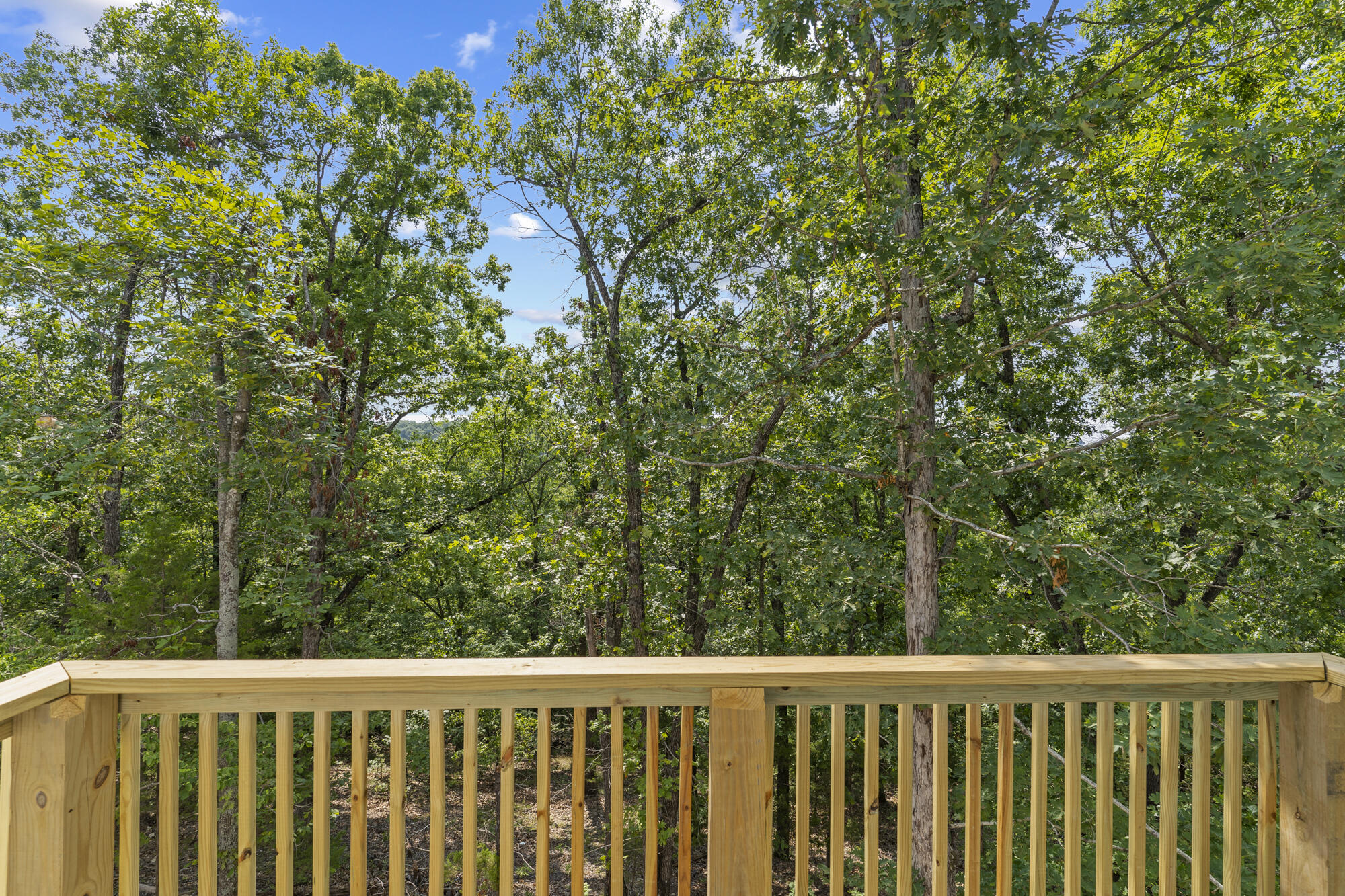 244 Northpoint Court Property Photo 30
