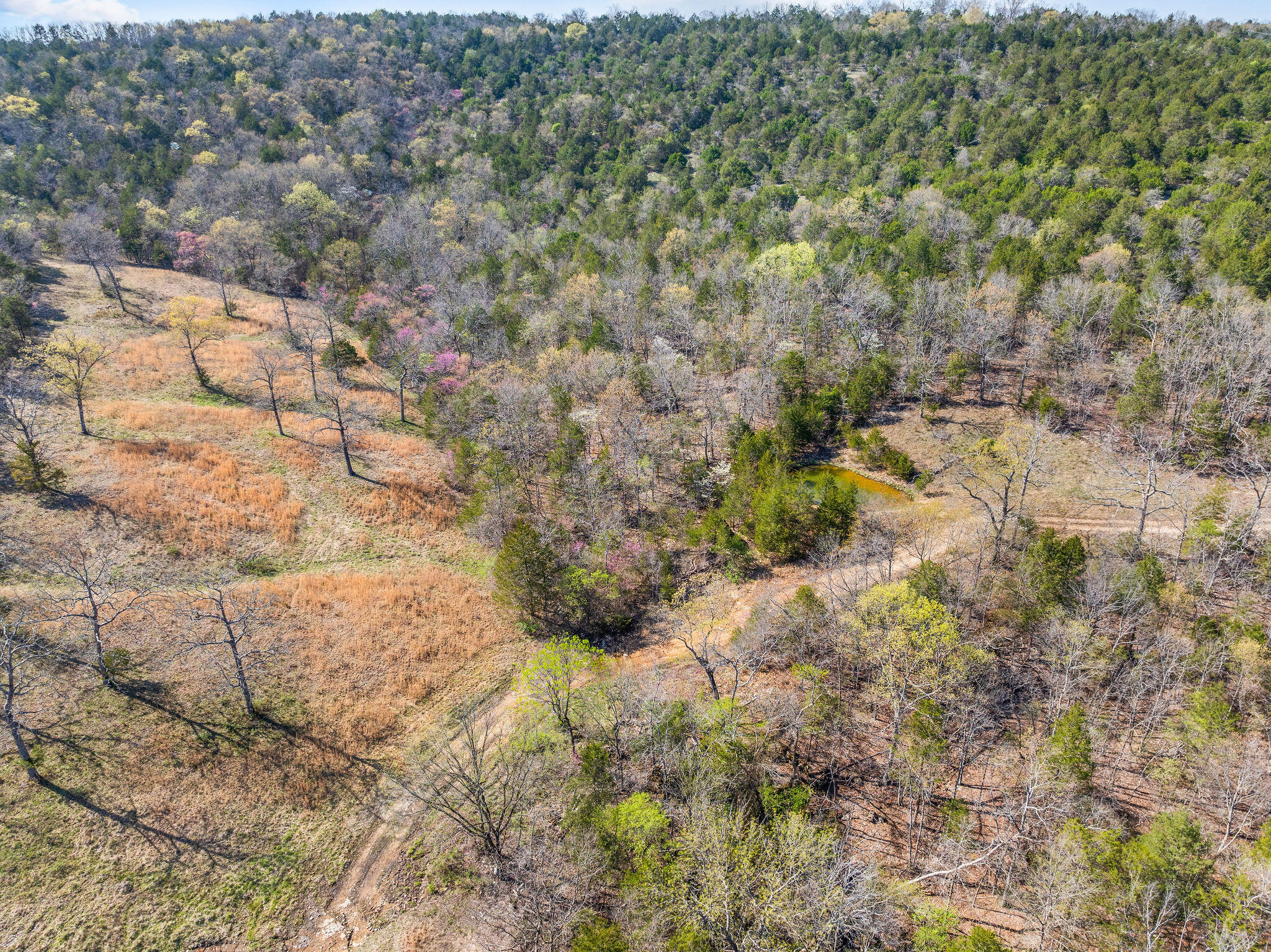 000 Tbd State Hwy J Property Photo 18