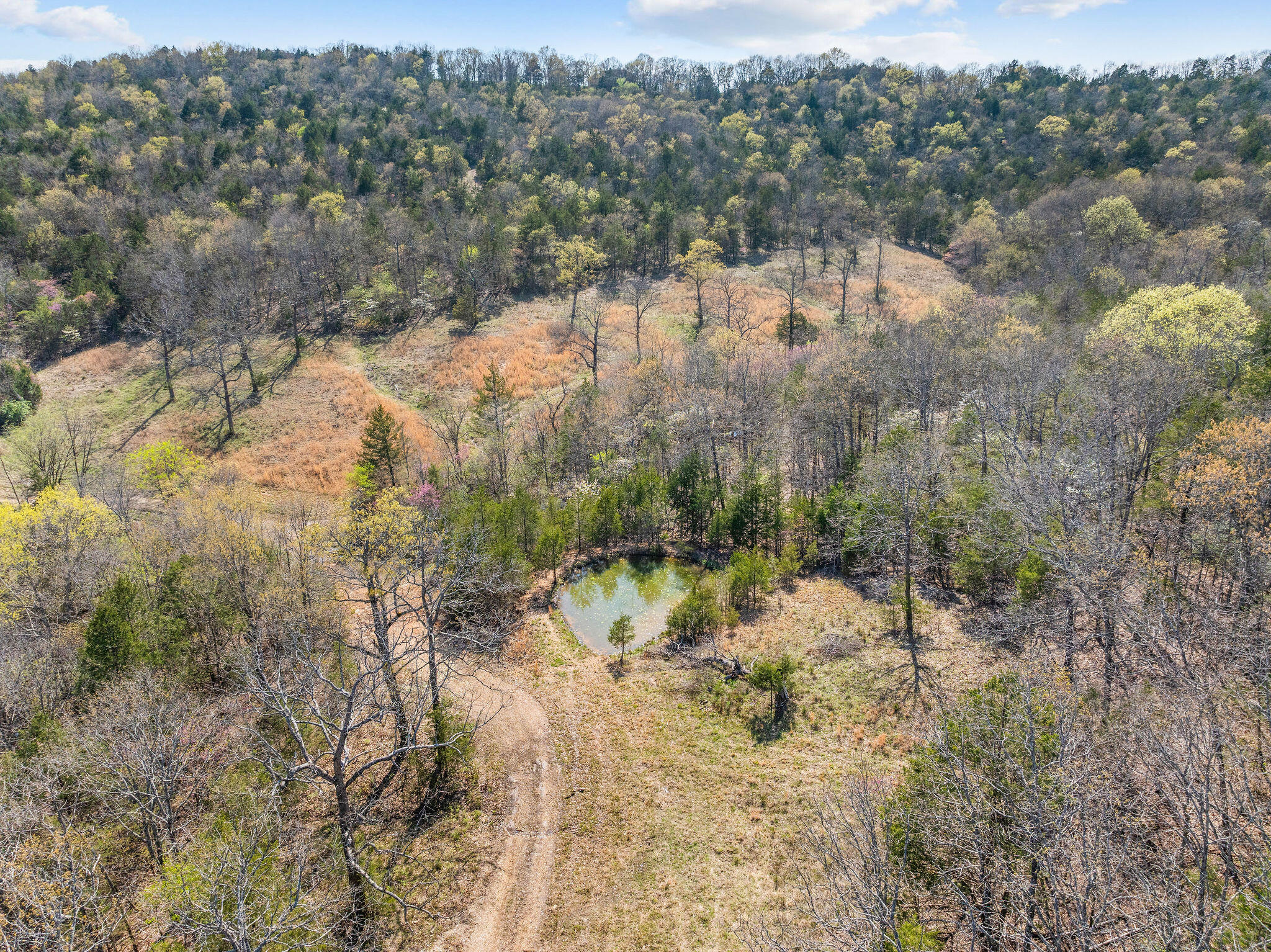 000 Tbd State Hwy J Property Photo 19