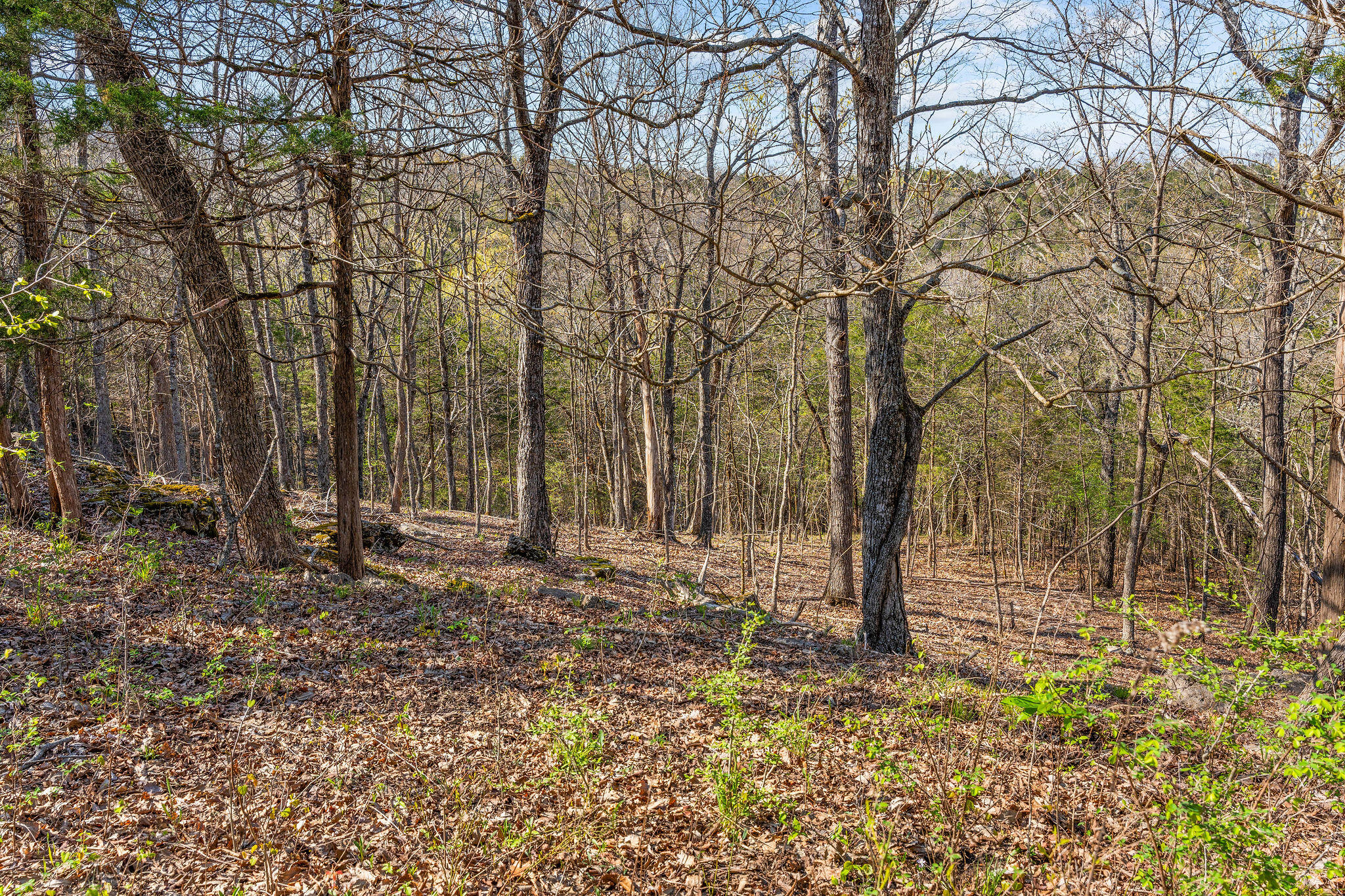 000 Tbd State Hwy J Property Photo 43