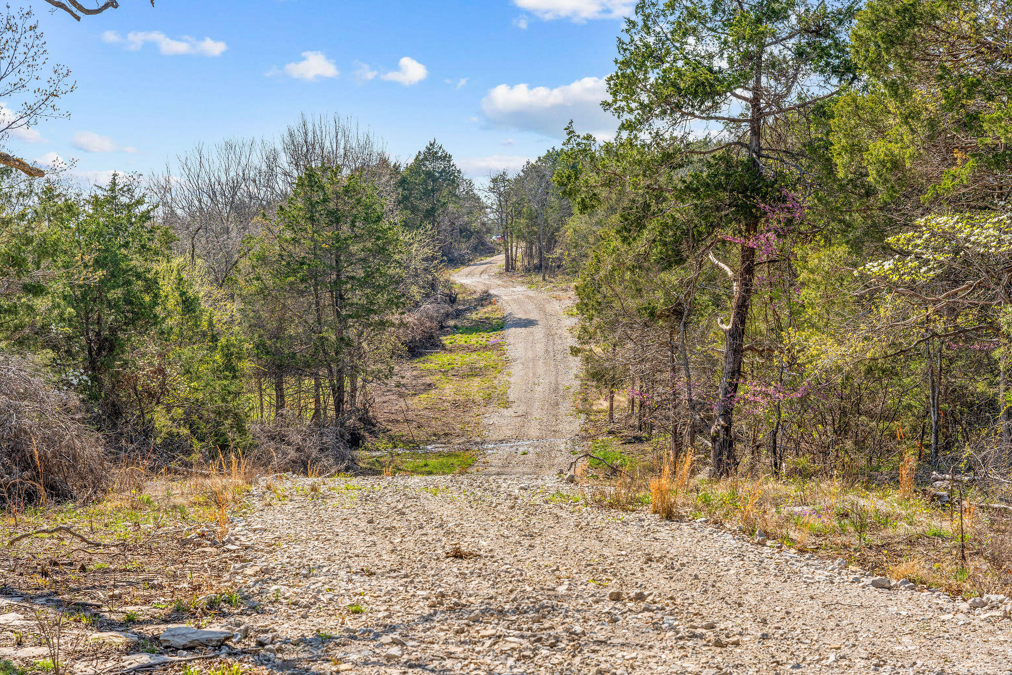 000 Tbd State Hwy J Property Photo 45