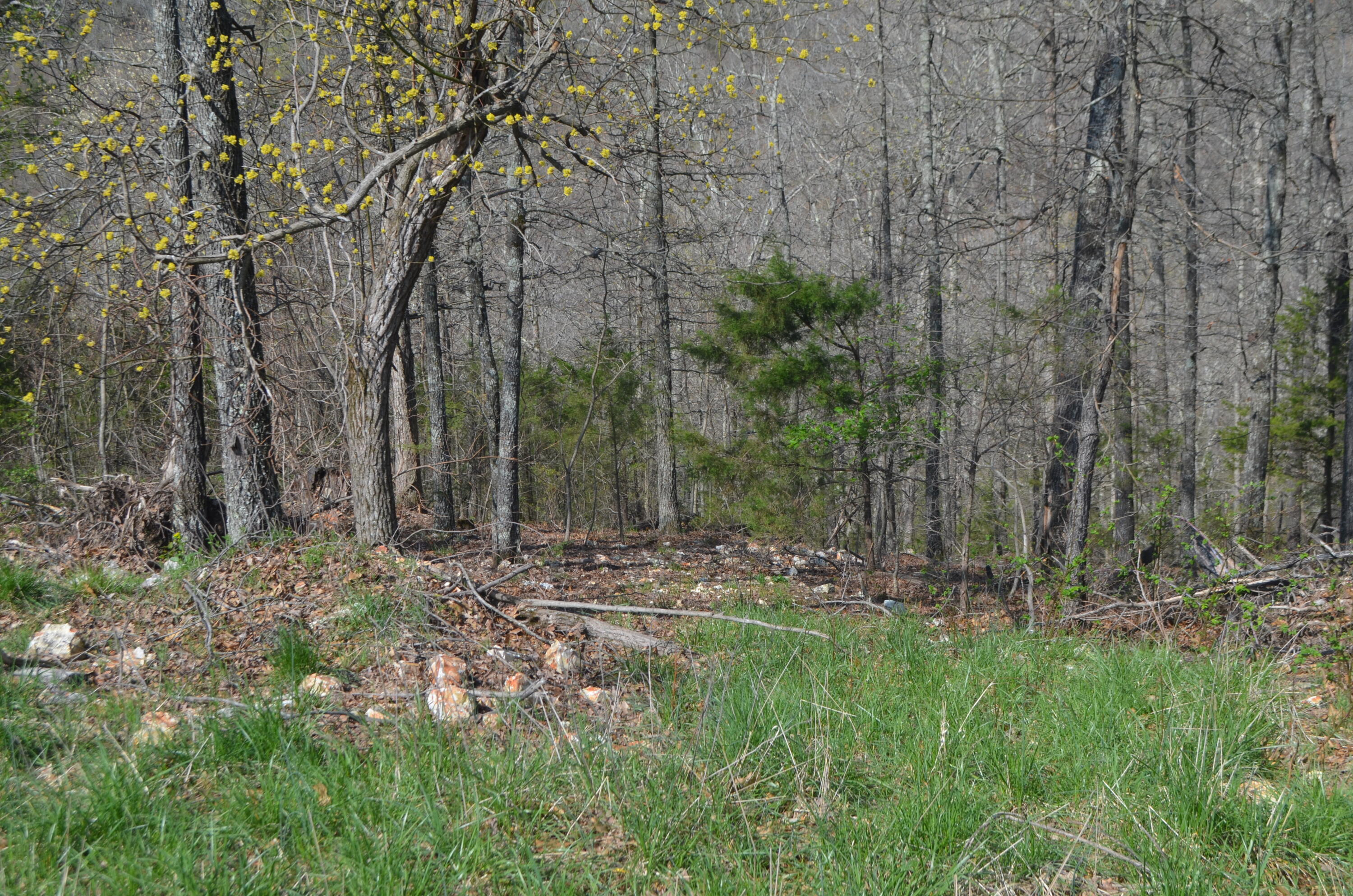 Lot 5b Paradise Lane Property Photo 7
